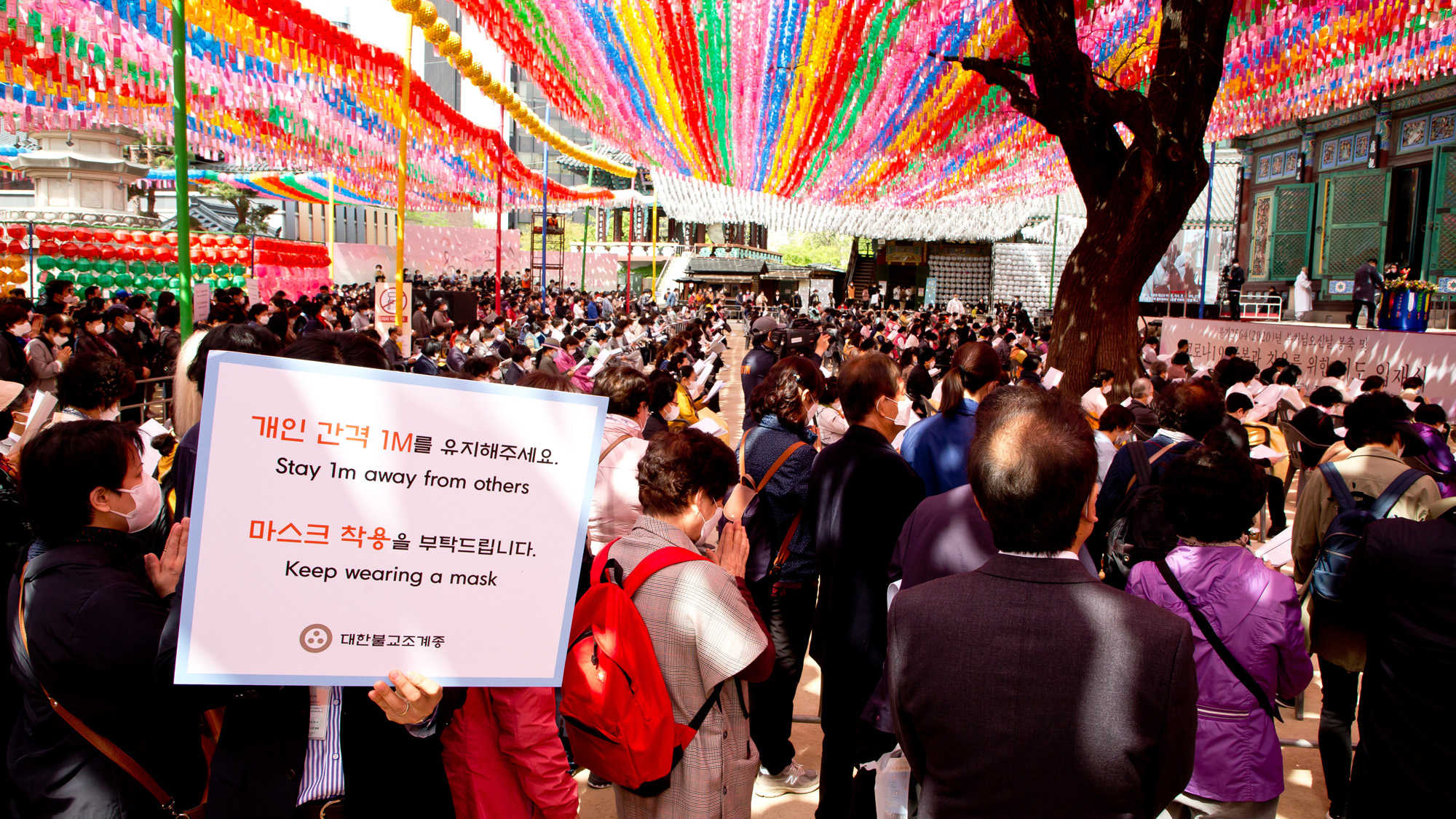 사회 종교 불교 조계사 부처님 오신날 코로나