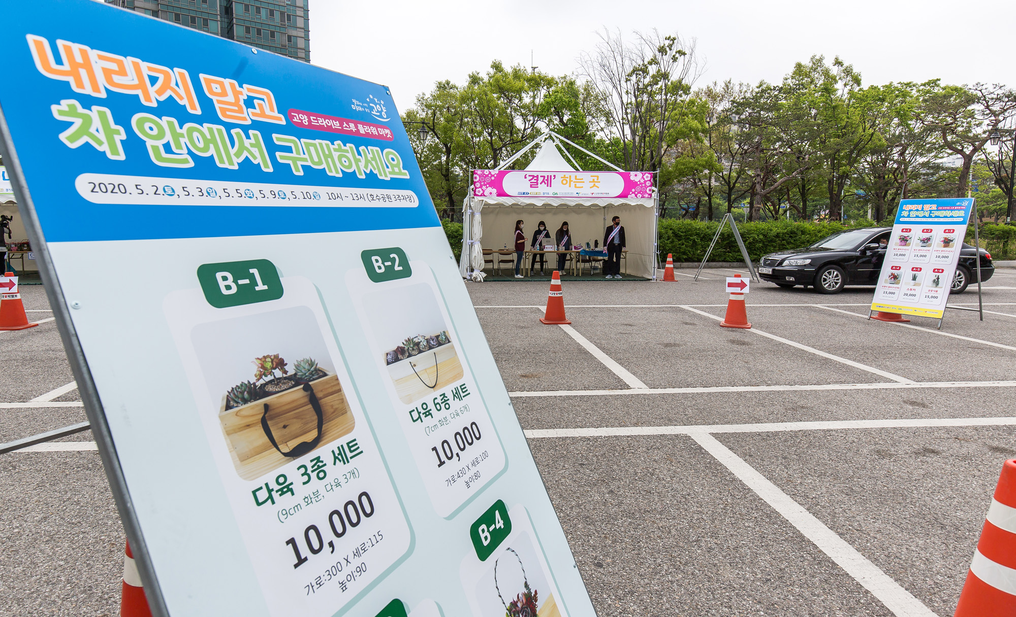 사회;세태;경제;고양시;코로나19;신종코로나바이러스감염증;드라이브스루;플라워마켓;꽃시장;일산호수공원