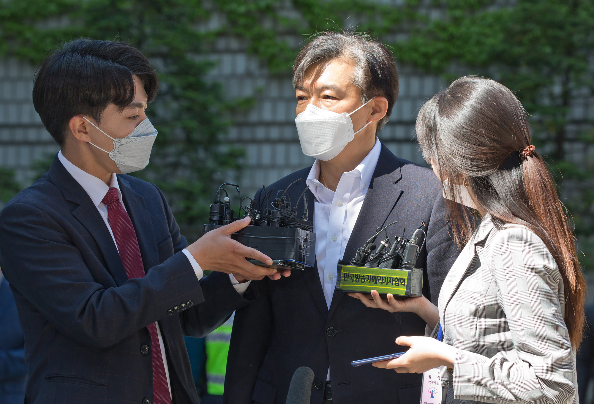 정치 사회 조국 서울중앙지법