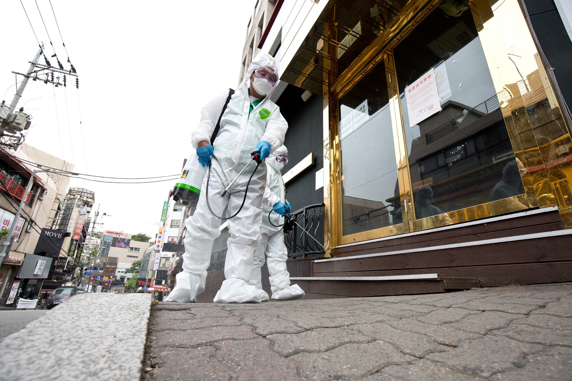 사회 코로나 이태원 클럽