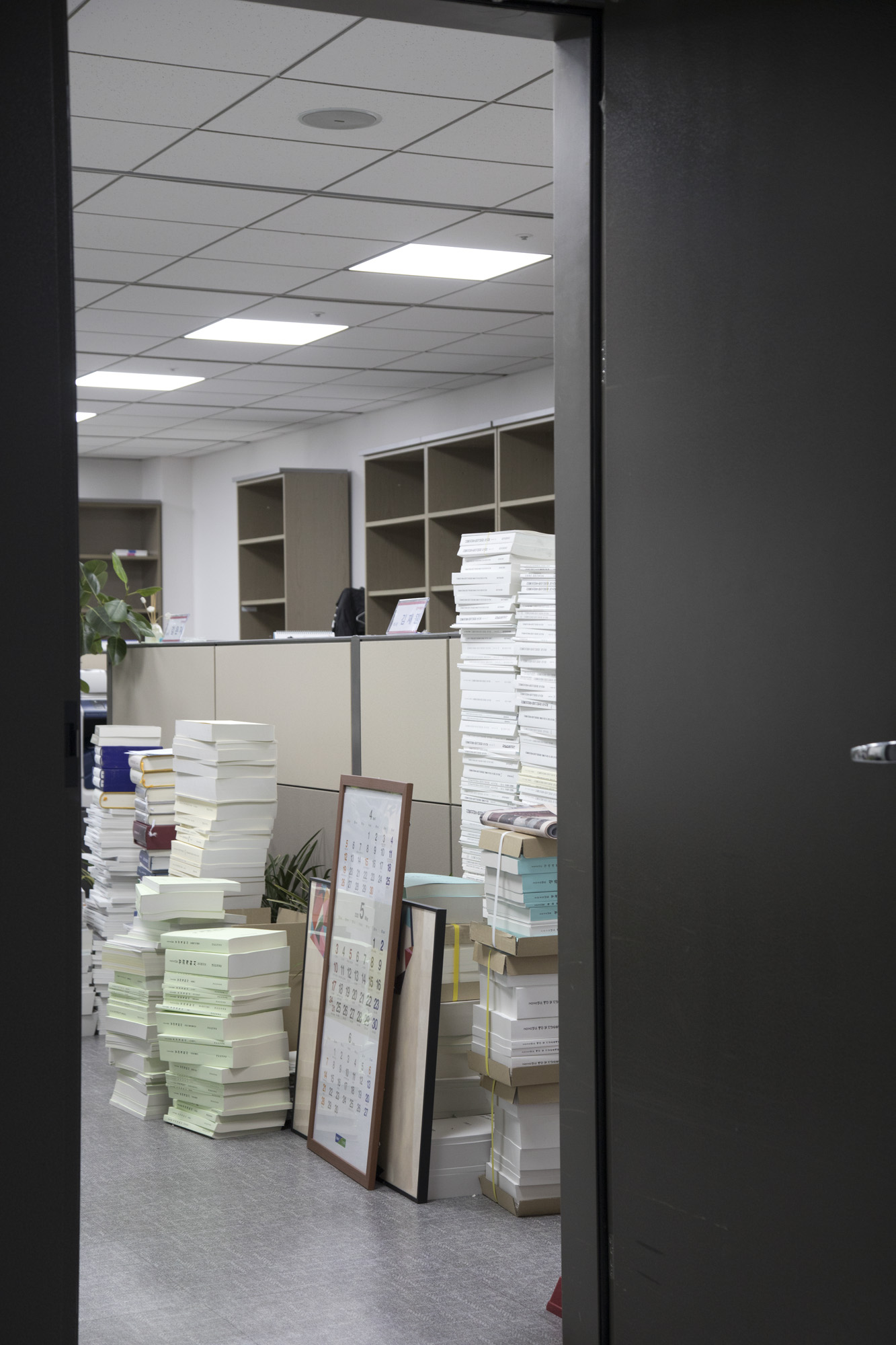 정치;국회;의원회관;이사;청소;20대 국회의원