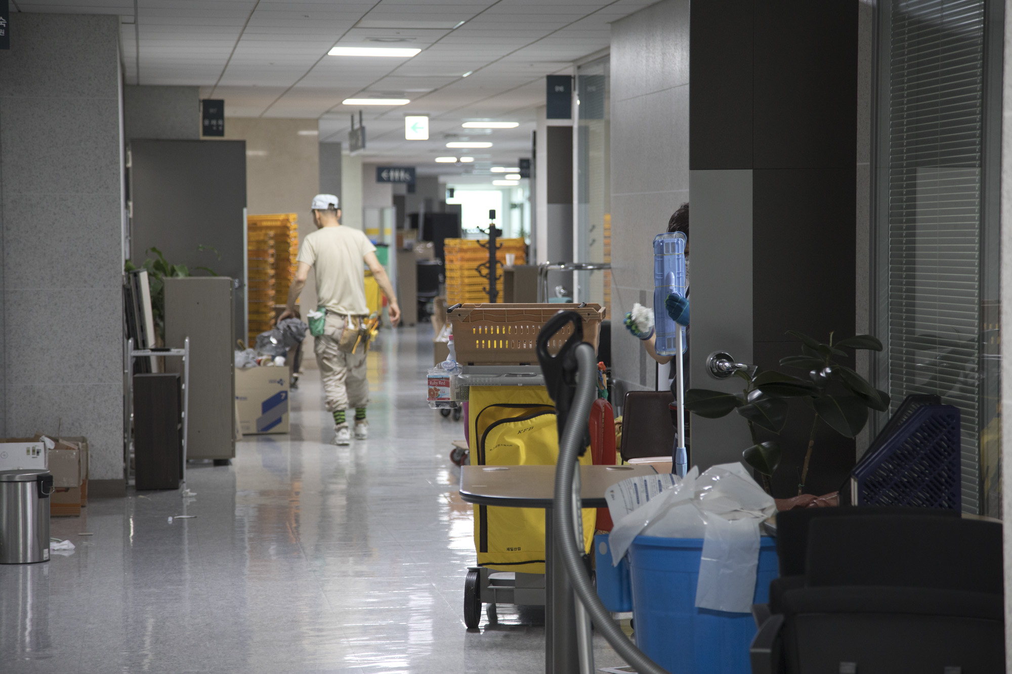 정치;국회;의원회관;이사;청소;20대 국회의원