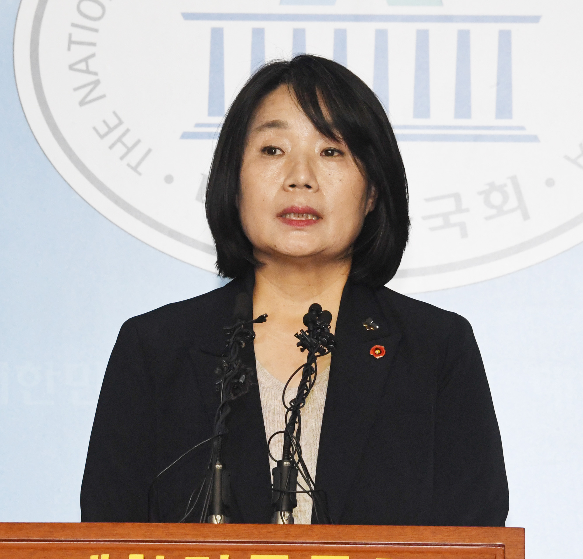 정치;국회;더불어민주당;정의기억연대;정의연;윤미향;정의연회계부정의혹