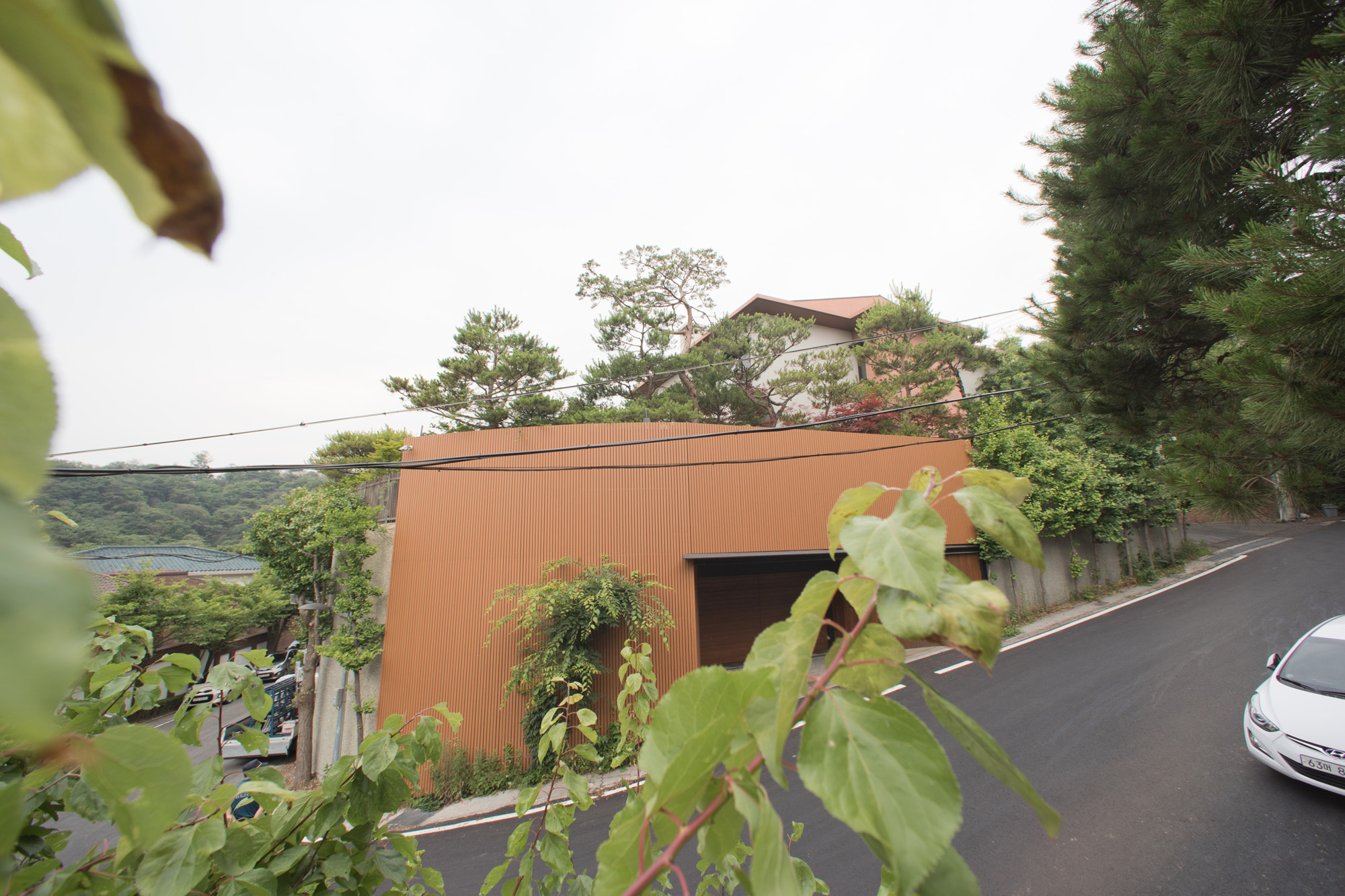 문화;영화;TV;드라마;배우;한류스타