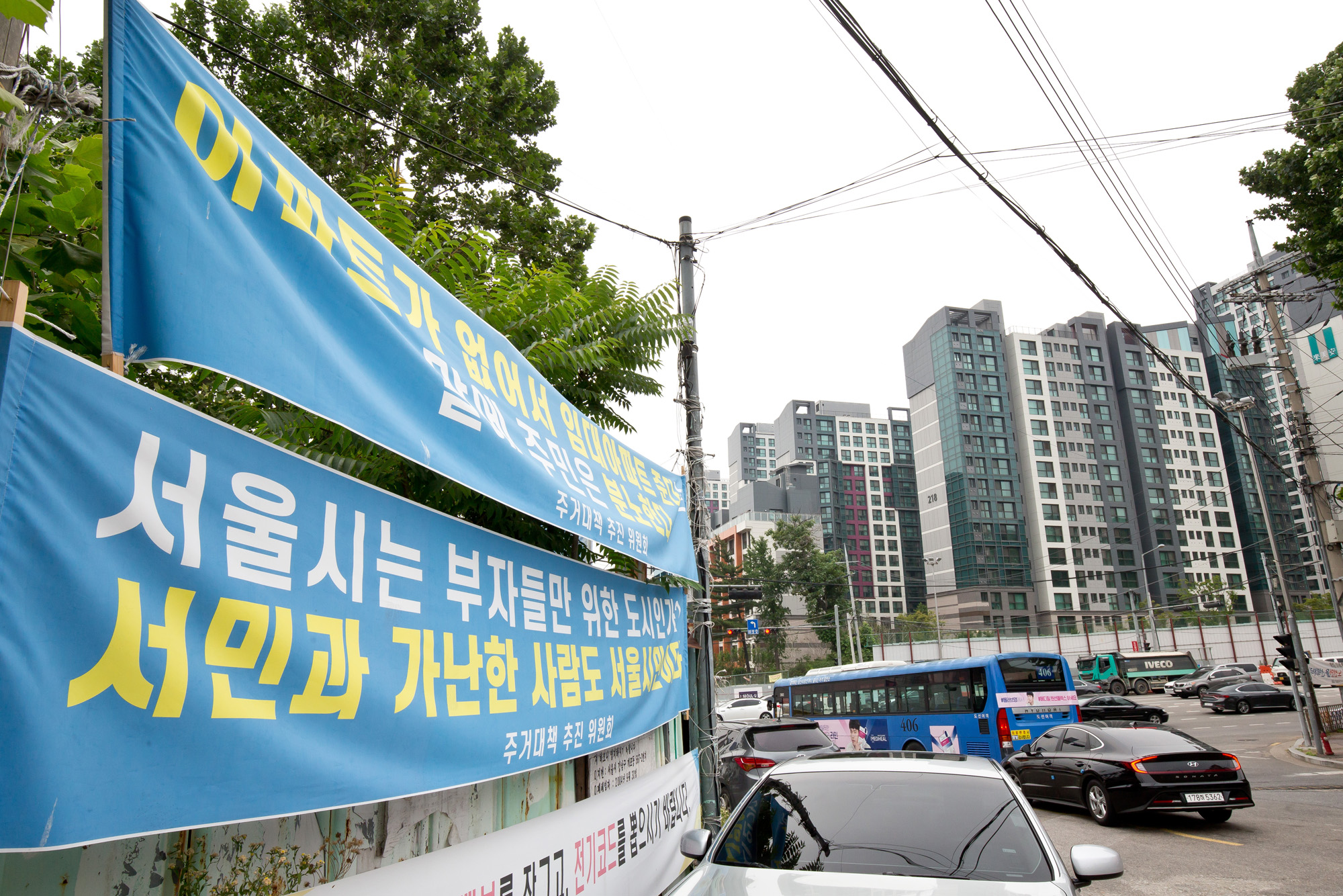 사회 경제 정치 진중권