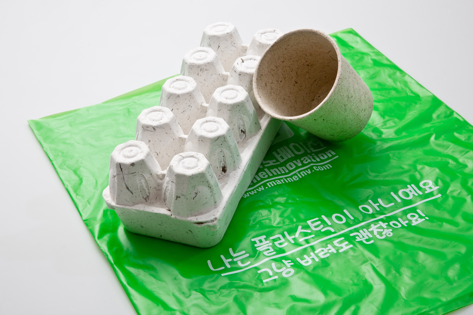 사회 환경 폐기물 소각