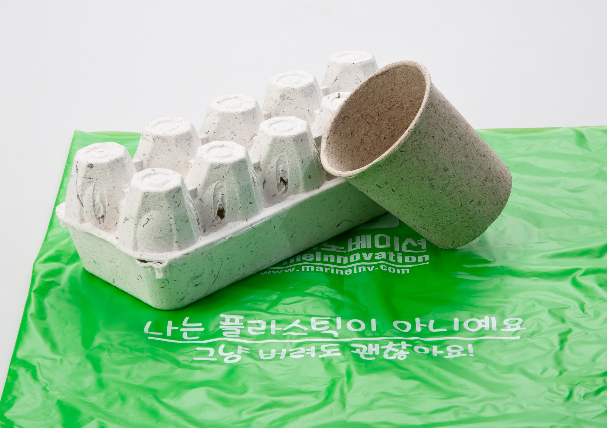 사회 환경 폐기물 일회용품 친환경