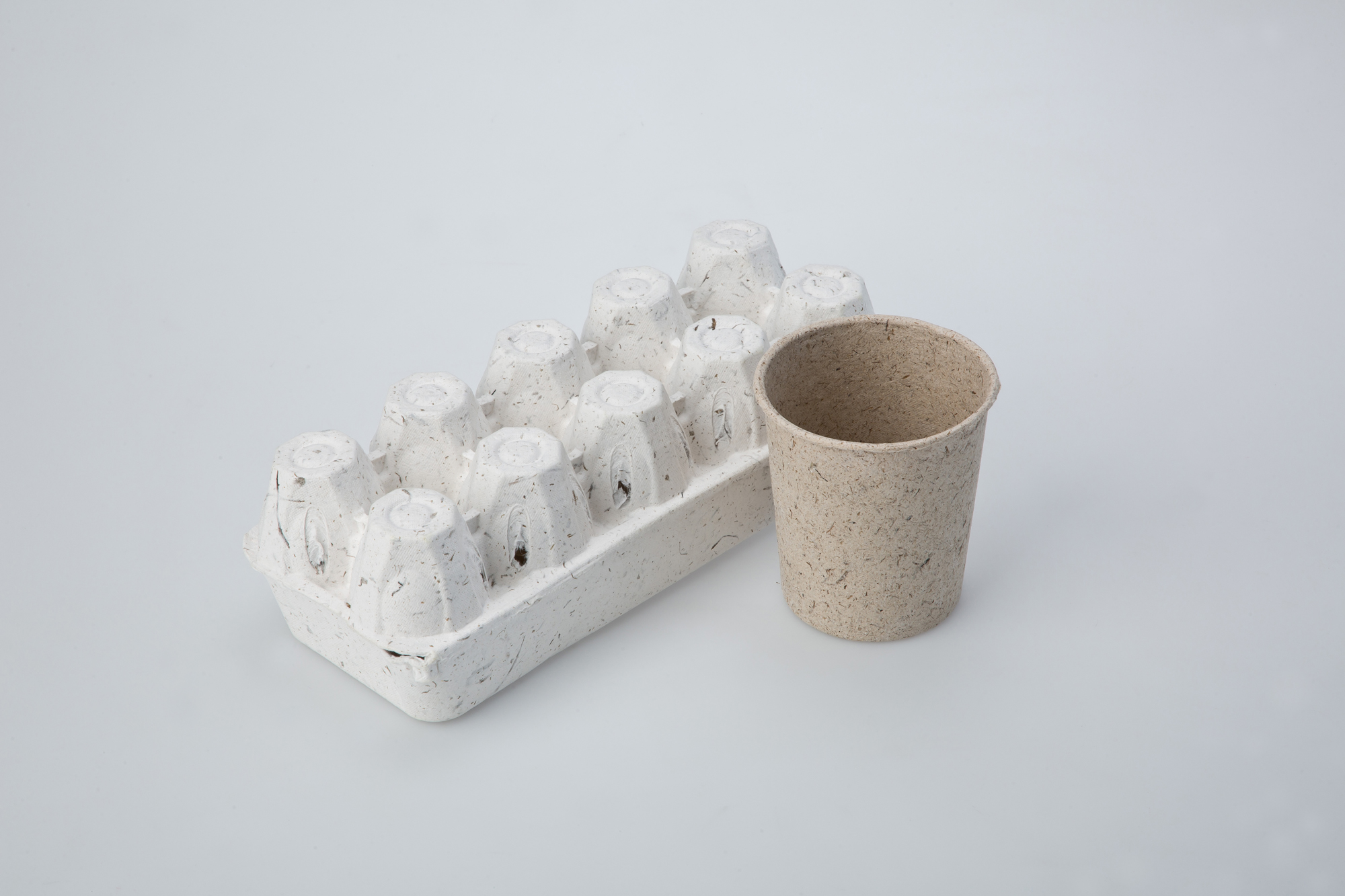 사회 환경 폐기물 일회용품 친환경