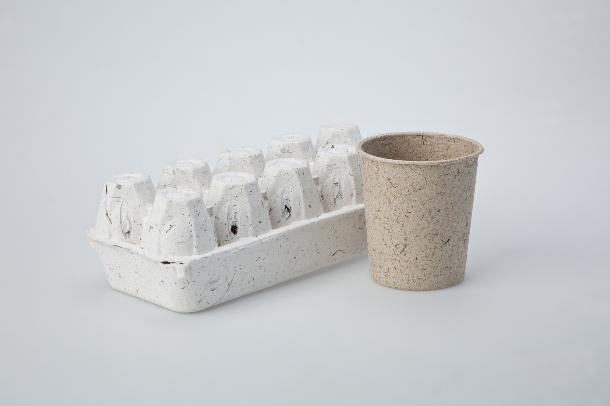 사회 환경 폐기물 일회용품 친환경