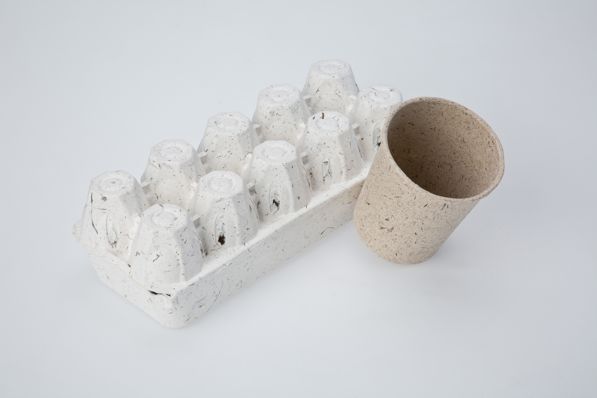 사회 환경 폐기물 일회용품 친환경