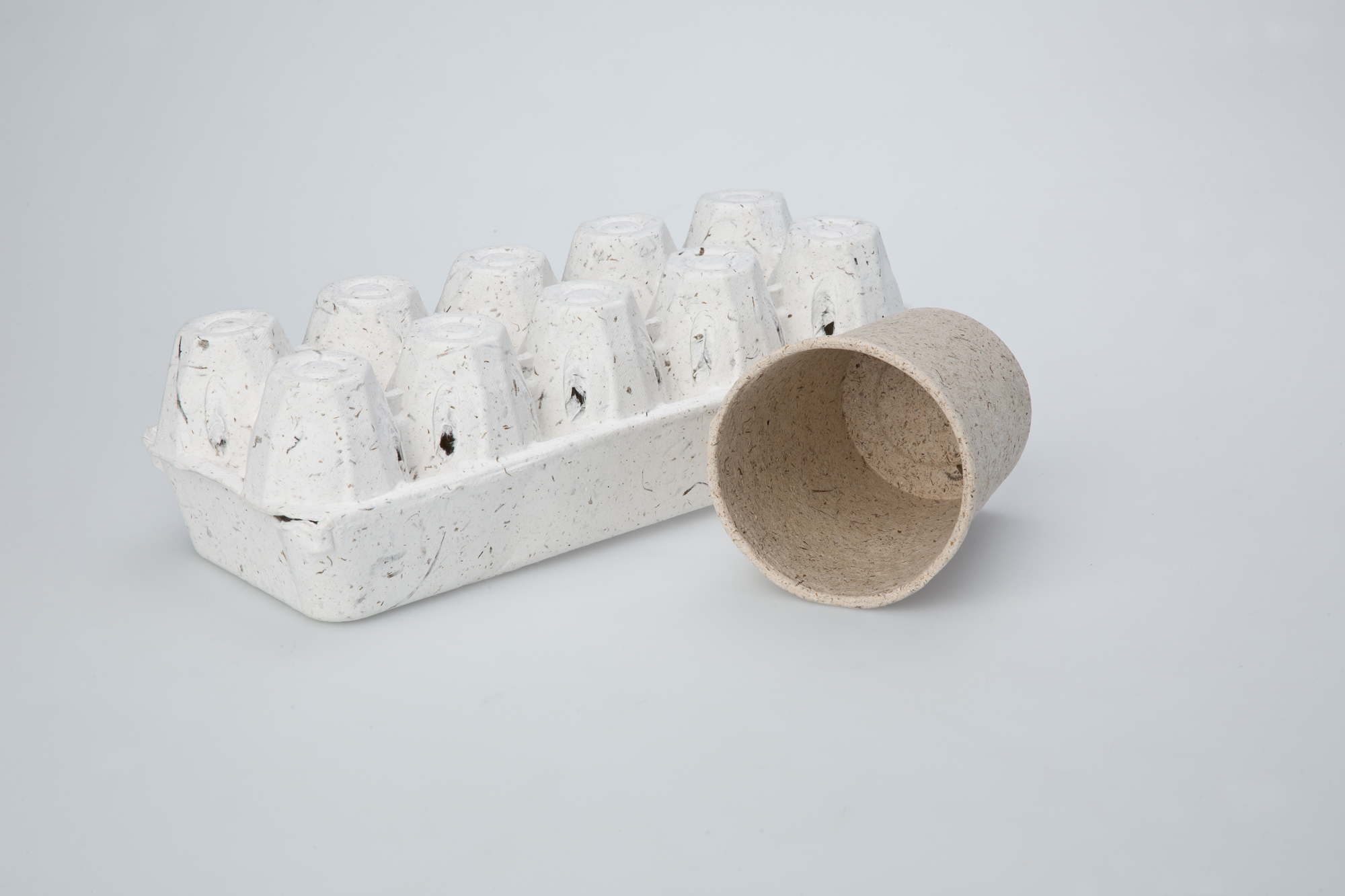 사회 환경 폐기물 일회용품 친환경