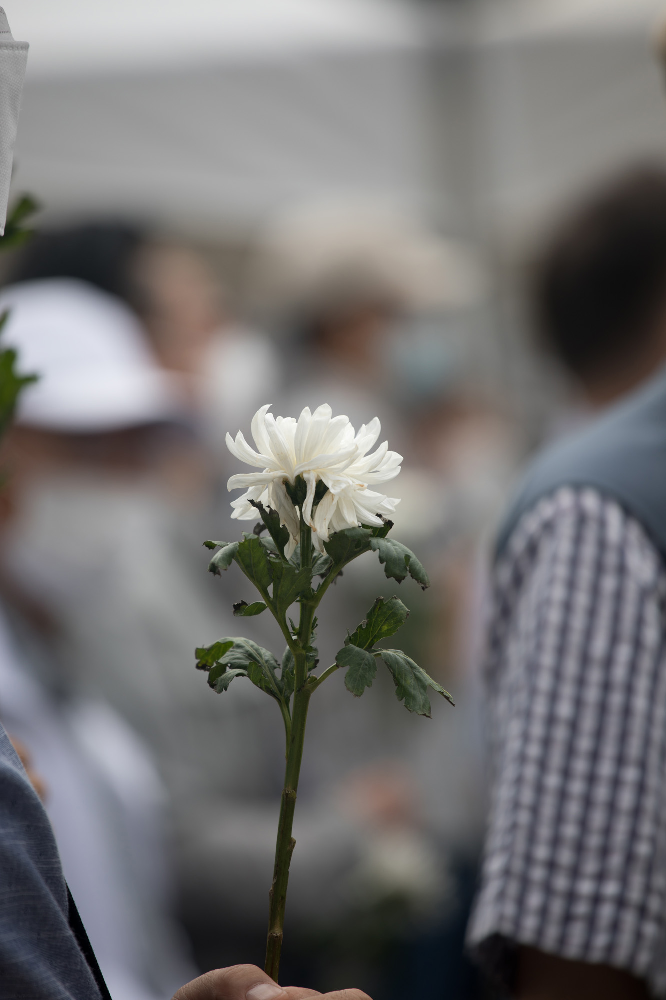 정치;보수;백선엽;장례;빈소;조문;사회;세태
