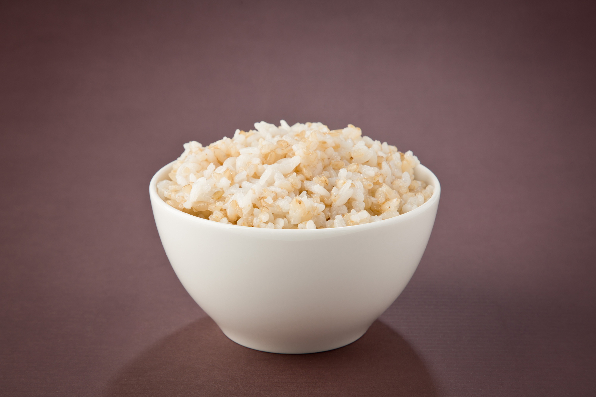 사회 건강 현미