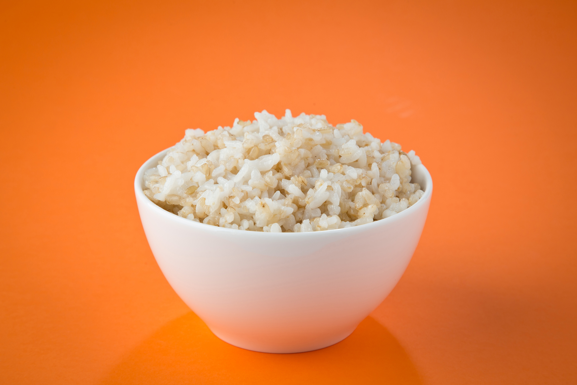 사회 건강 현미