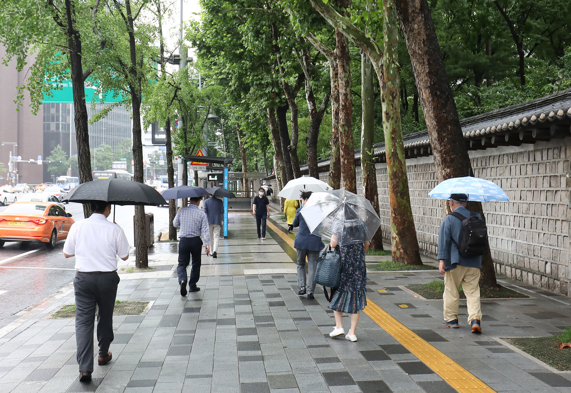 사회;서울숲길;샹젤리제거리;광화문거리