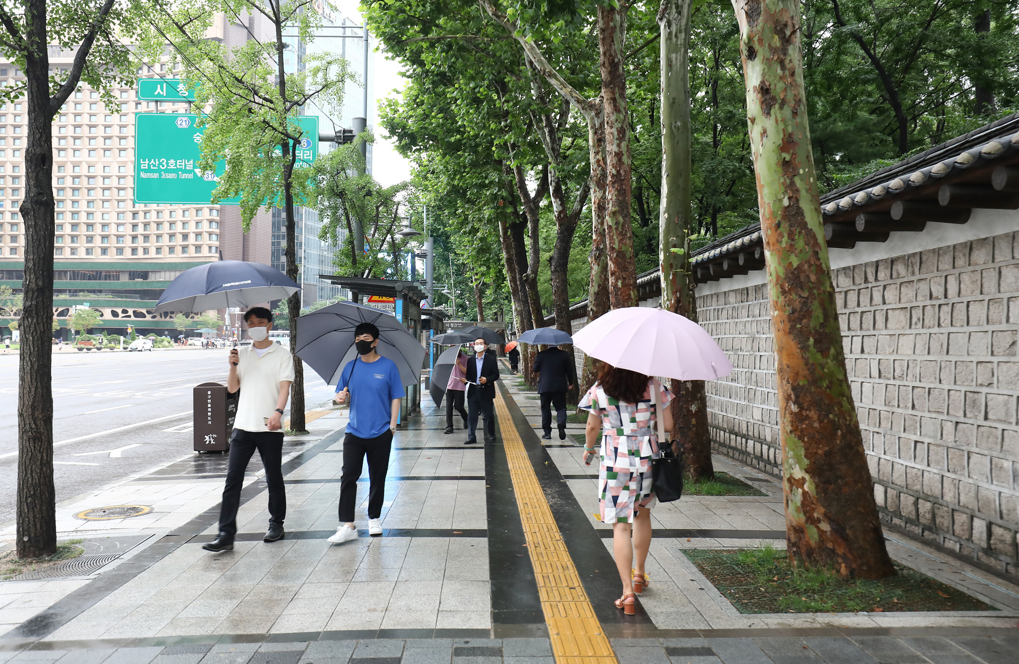 사회;서울숲길;샹젤리제거리;광화문거리