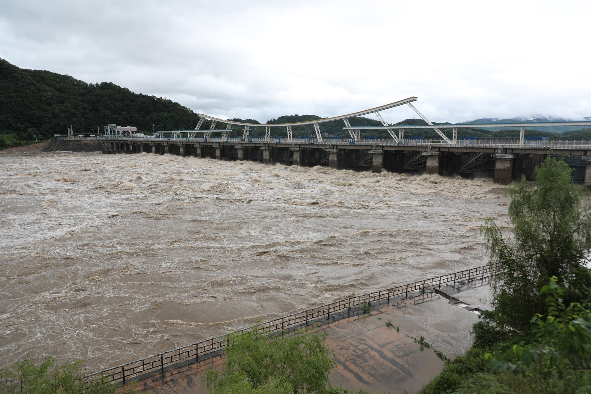 사회;팔당댐;팔당댐방류