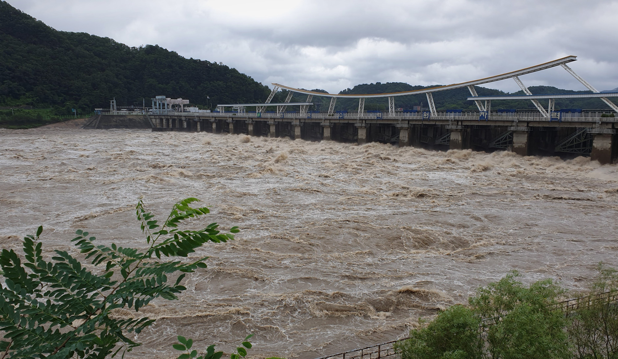 사회;팔당댐;팔당댐방류