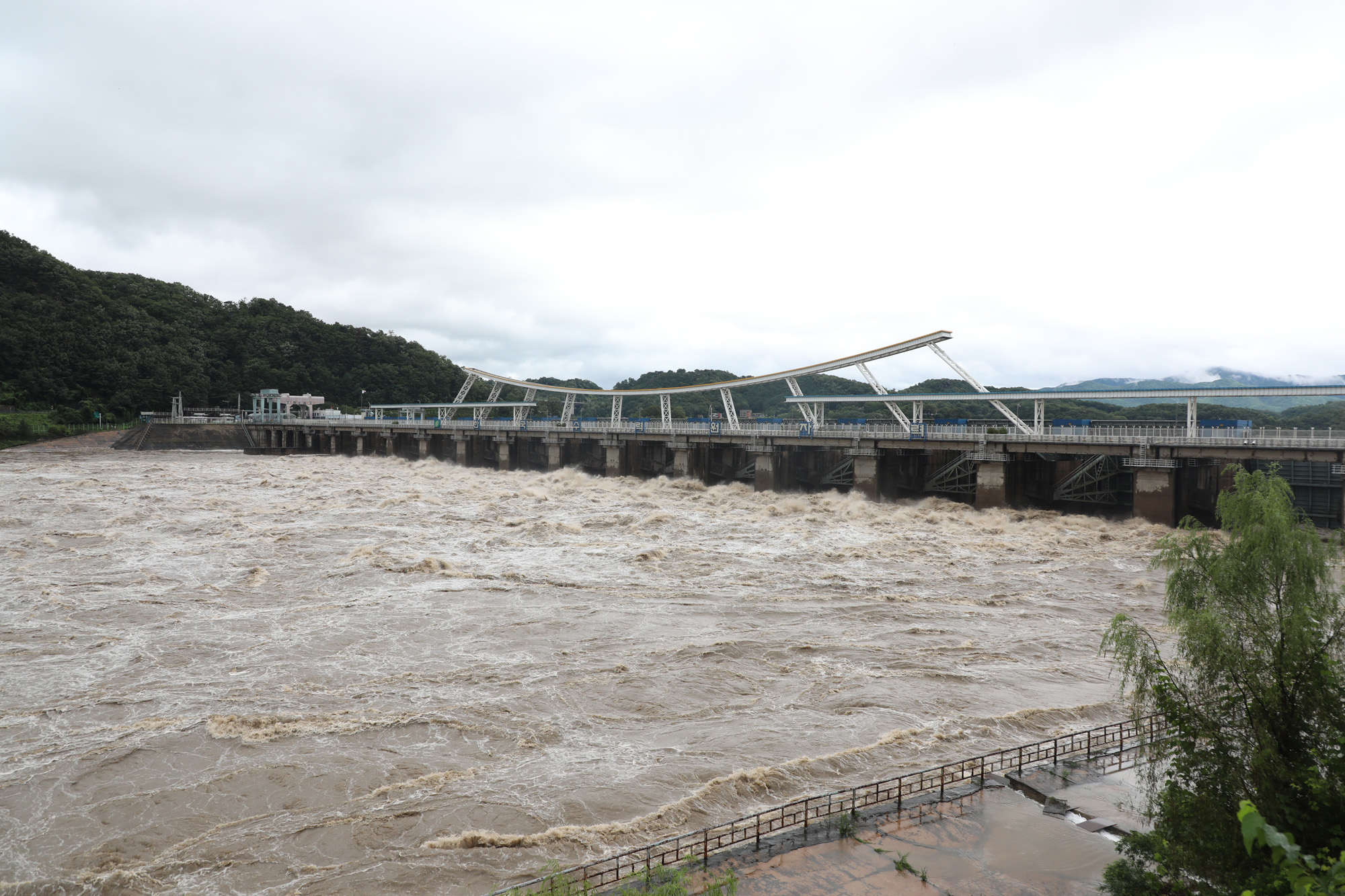 사회;팔당댐;팔당댐방류