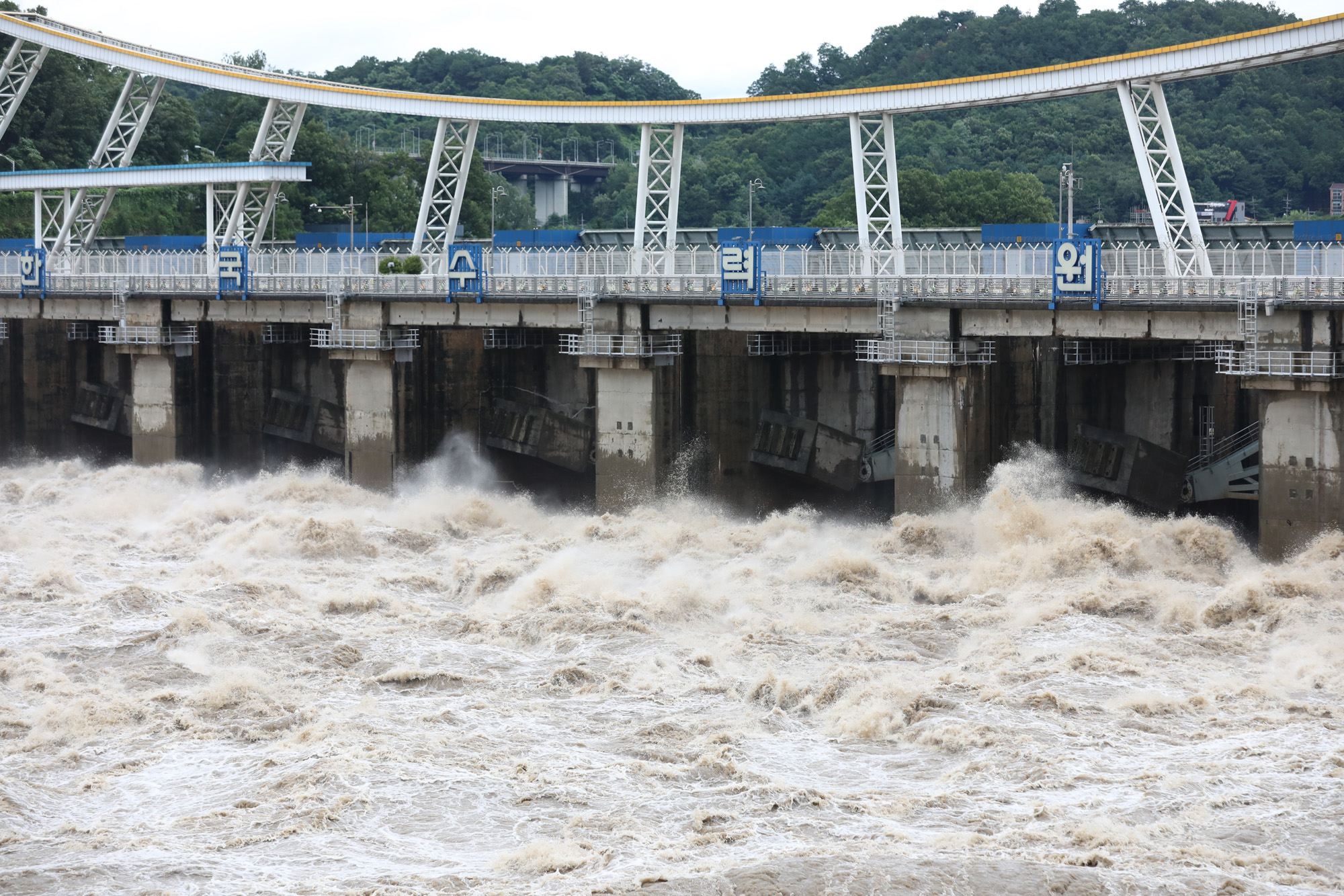 사회;팔당댐;팔당댐방류