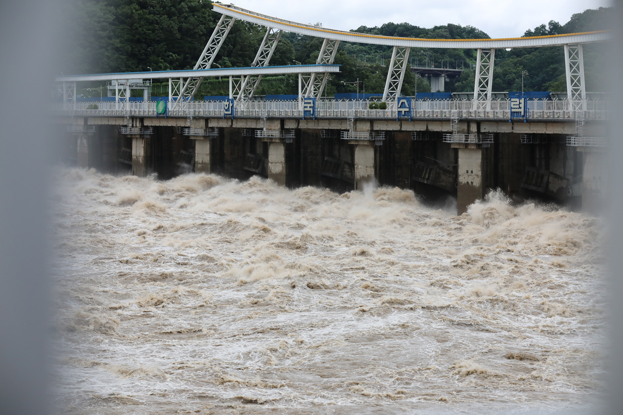 사회;팔당댐;팔당댐방류