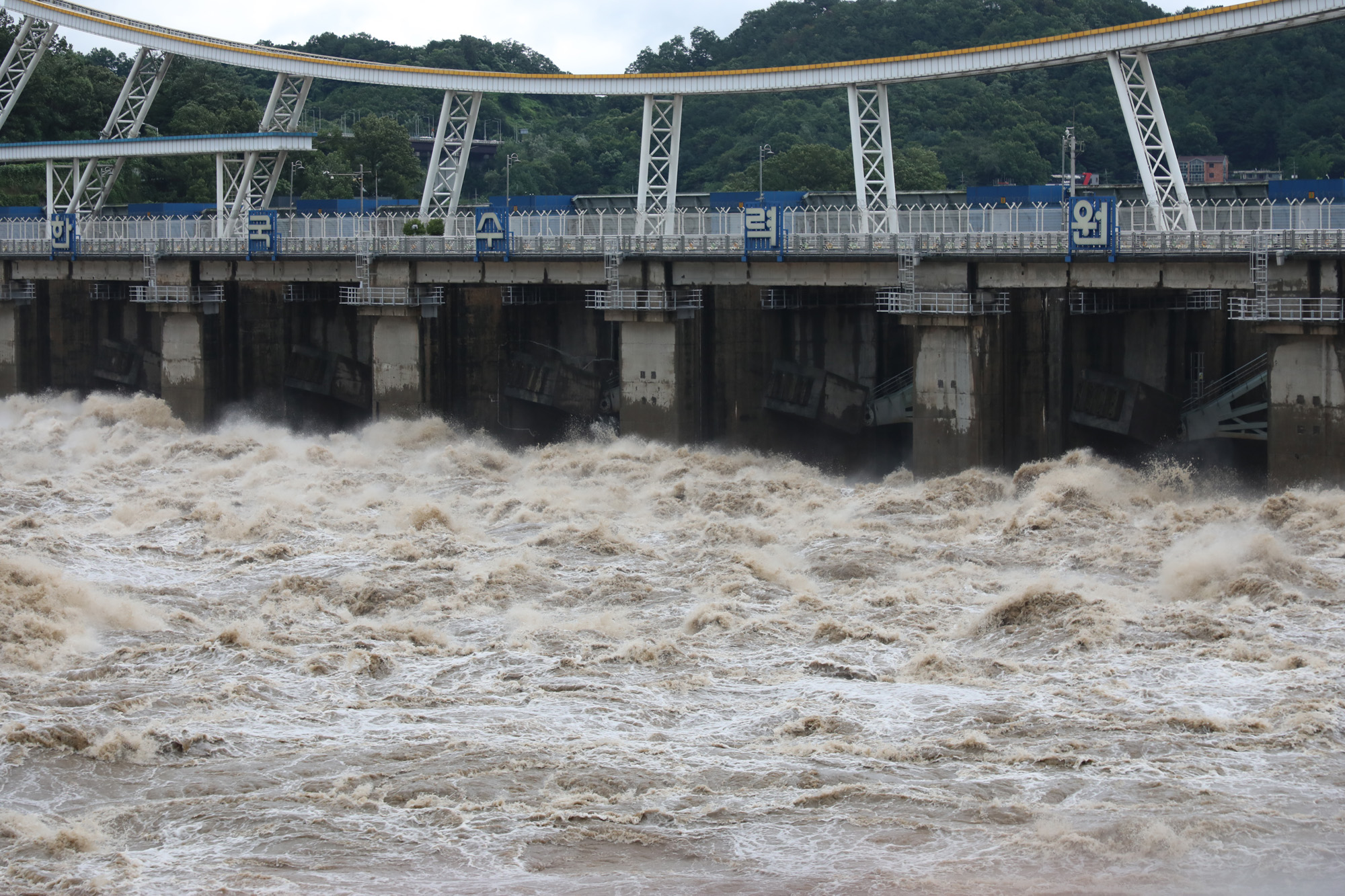 사회;팔당댐;팔당댐방류