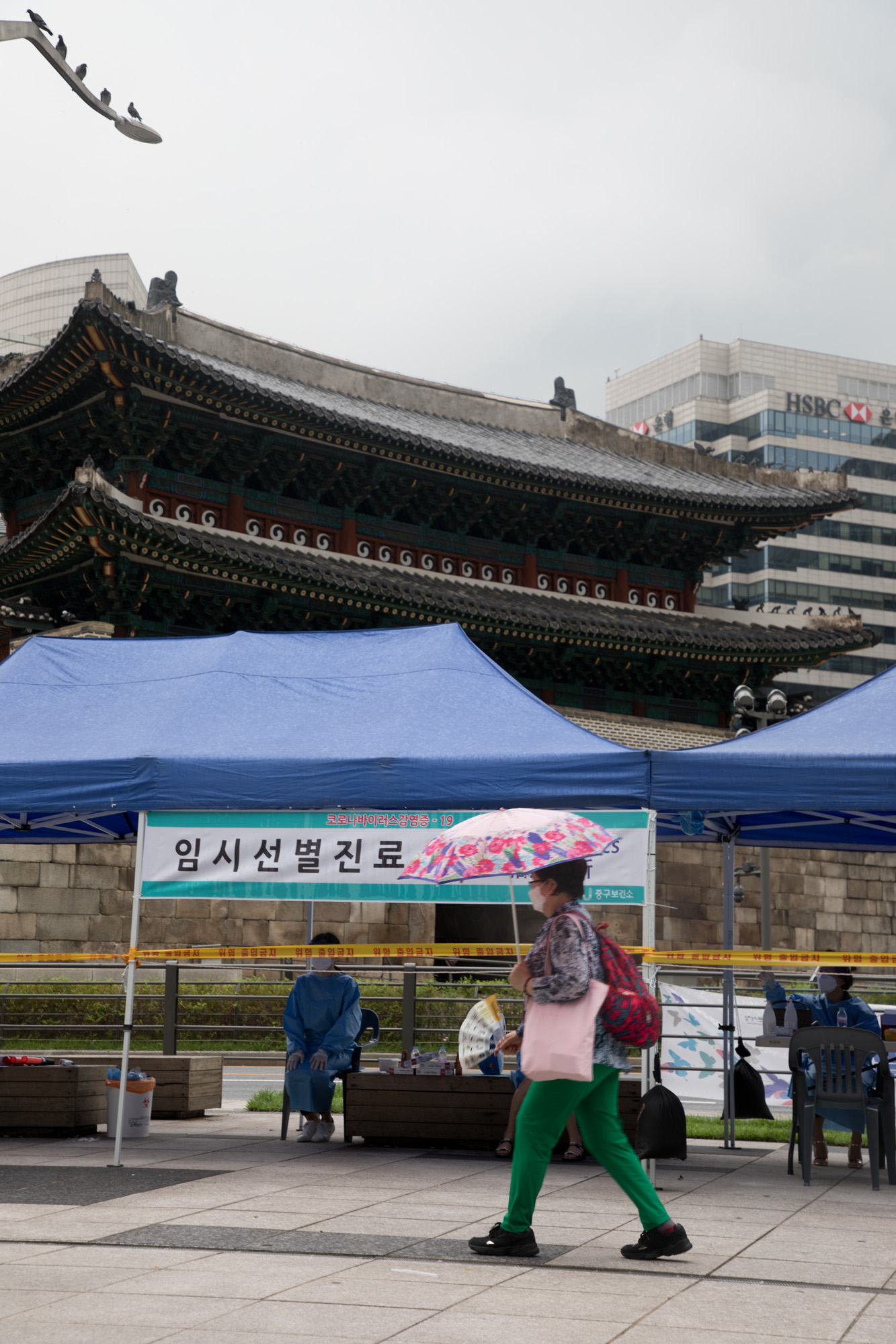 사회;전염병;코로나19;남대문;케네디상가;확진