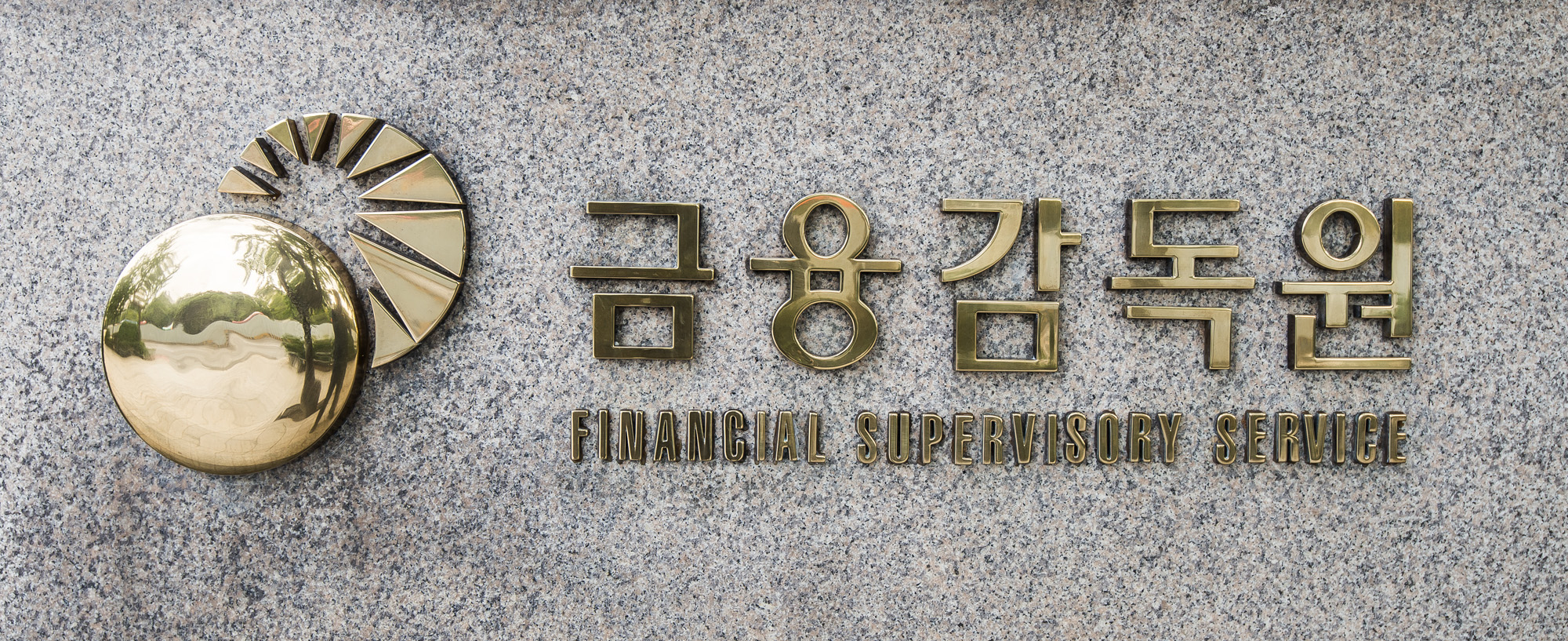 경제;정부;금융감독원;정부부처;금감원