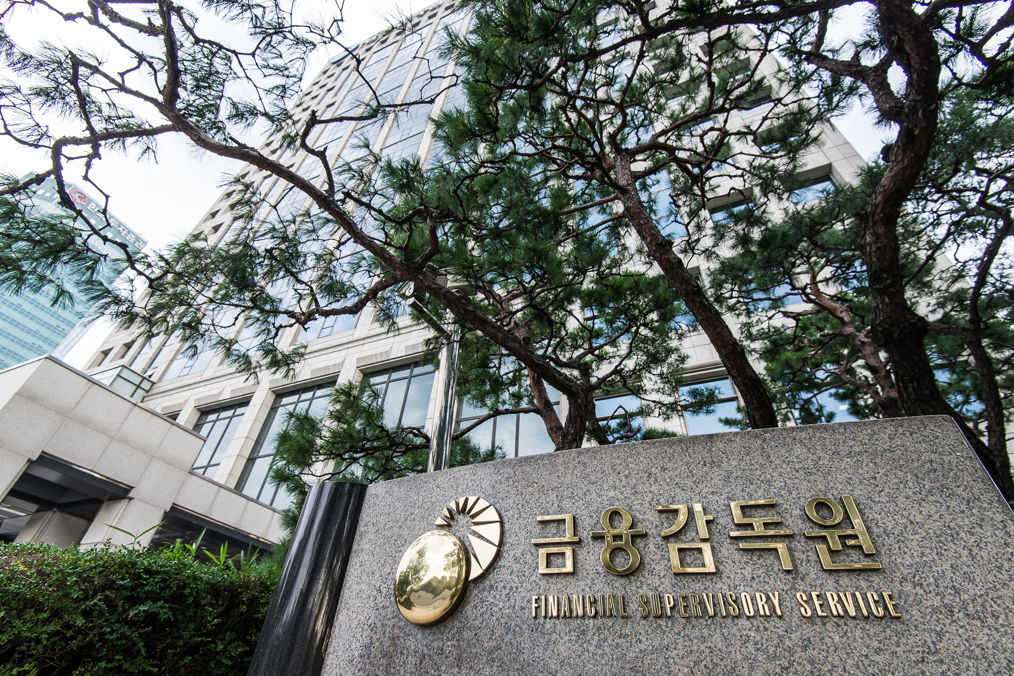 경제;정부;금융감독원;정부부처;금감원