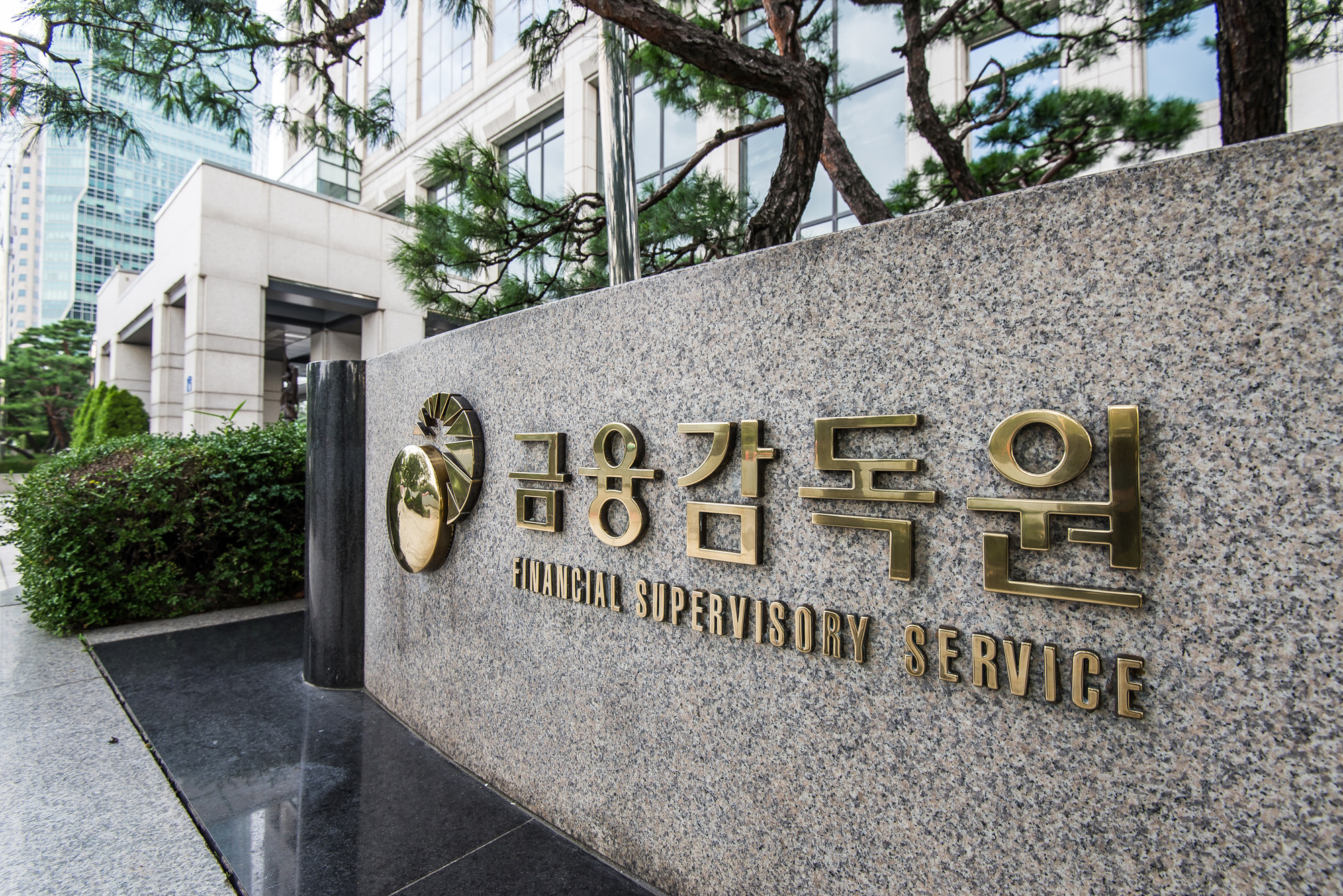 경제;정부;금융감독원;정부부처;금감원