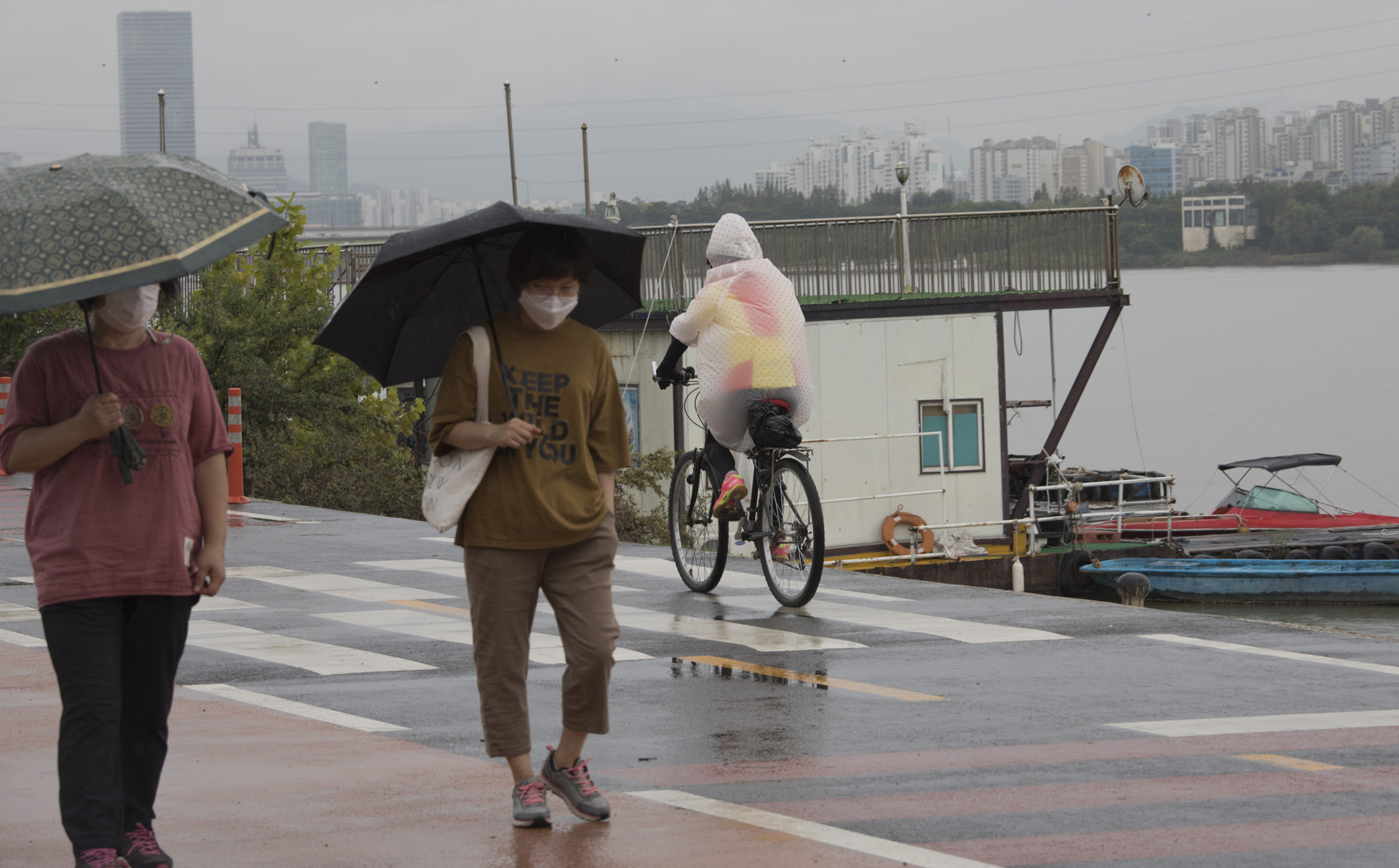 사회;세태;한강;운동