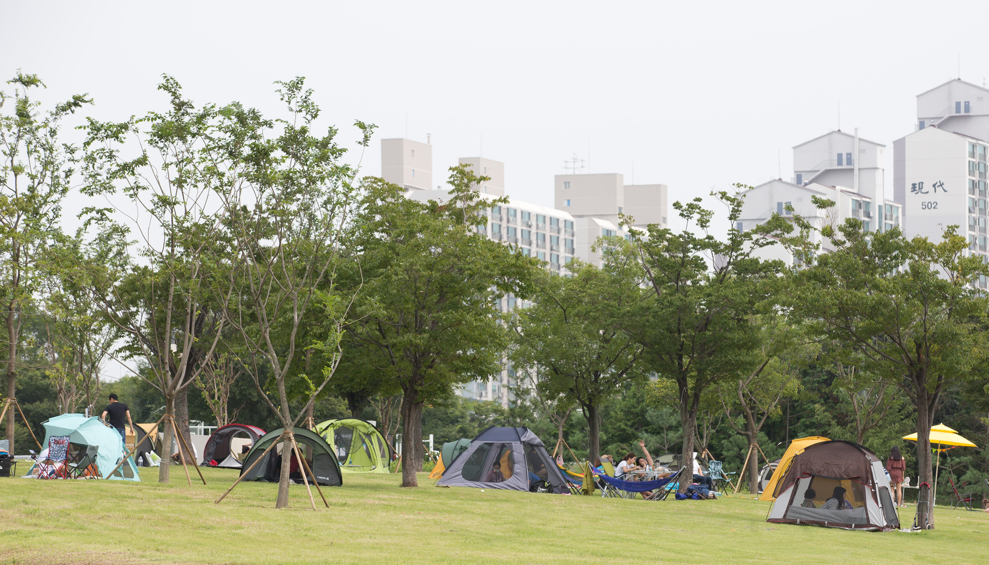 사회 코로나 사회적거리두기