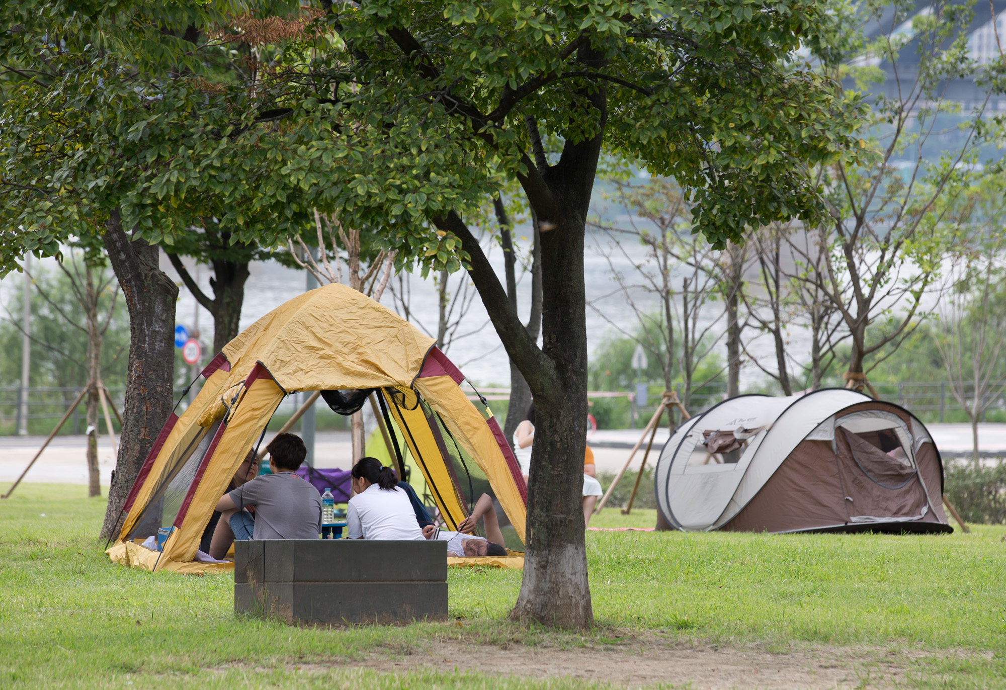 사회 코로나 사회적거리두기