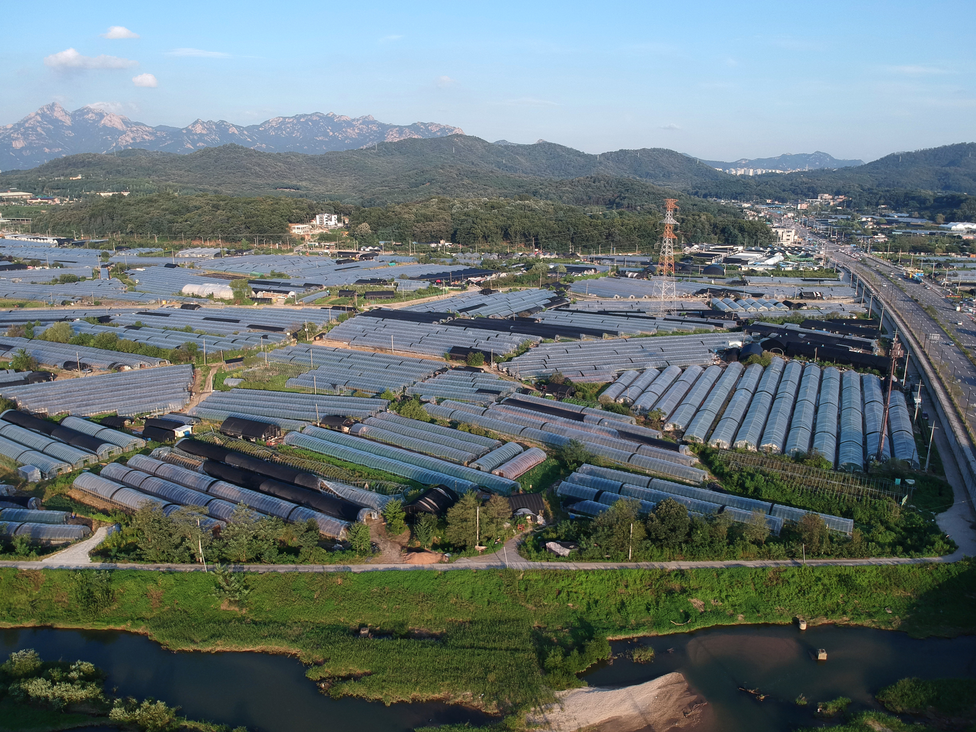 사회 부동산 3기 신도시 창릉동