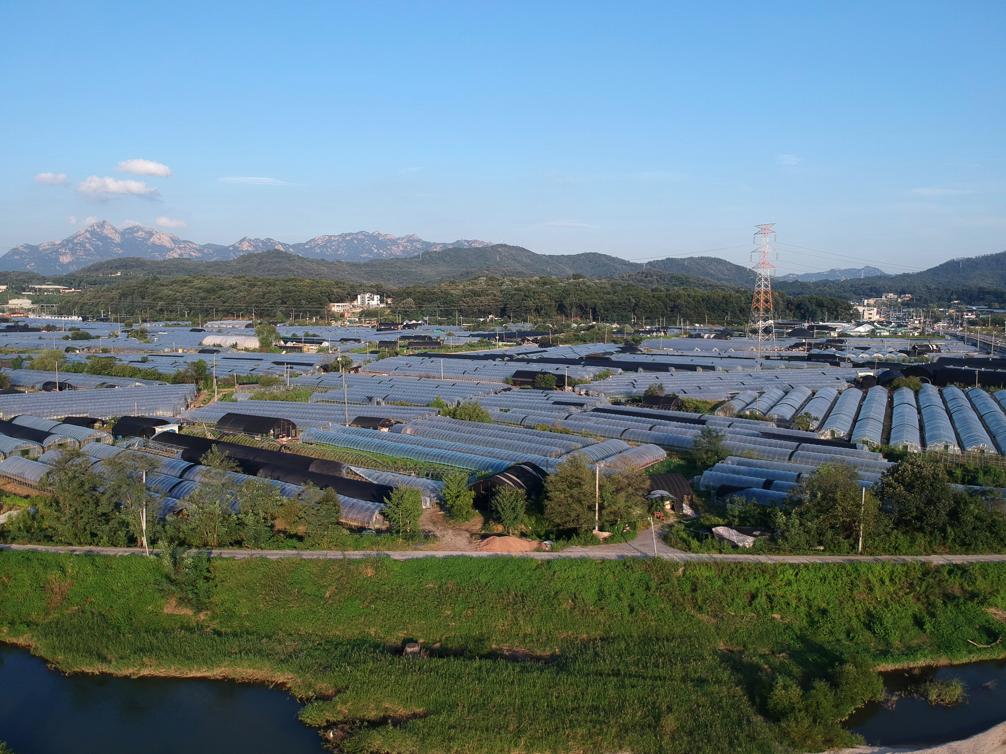 사회 부동산 3기 신도시 창릉동