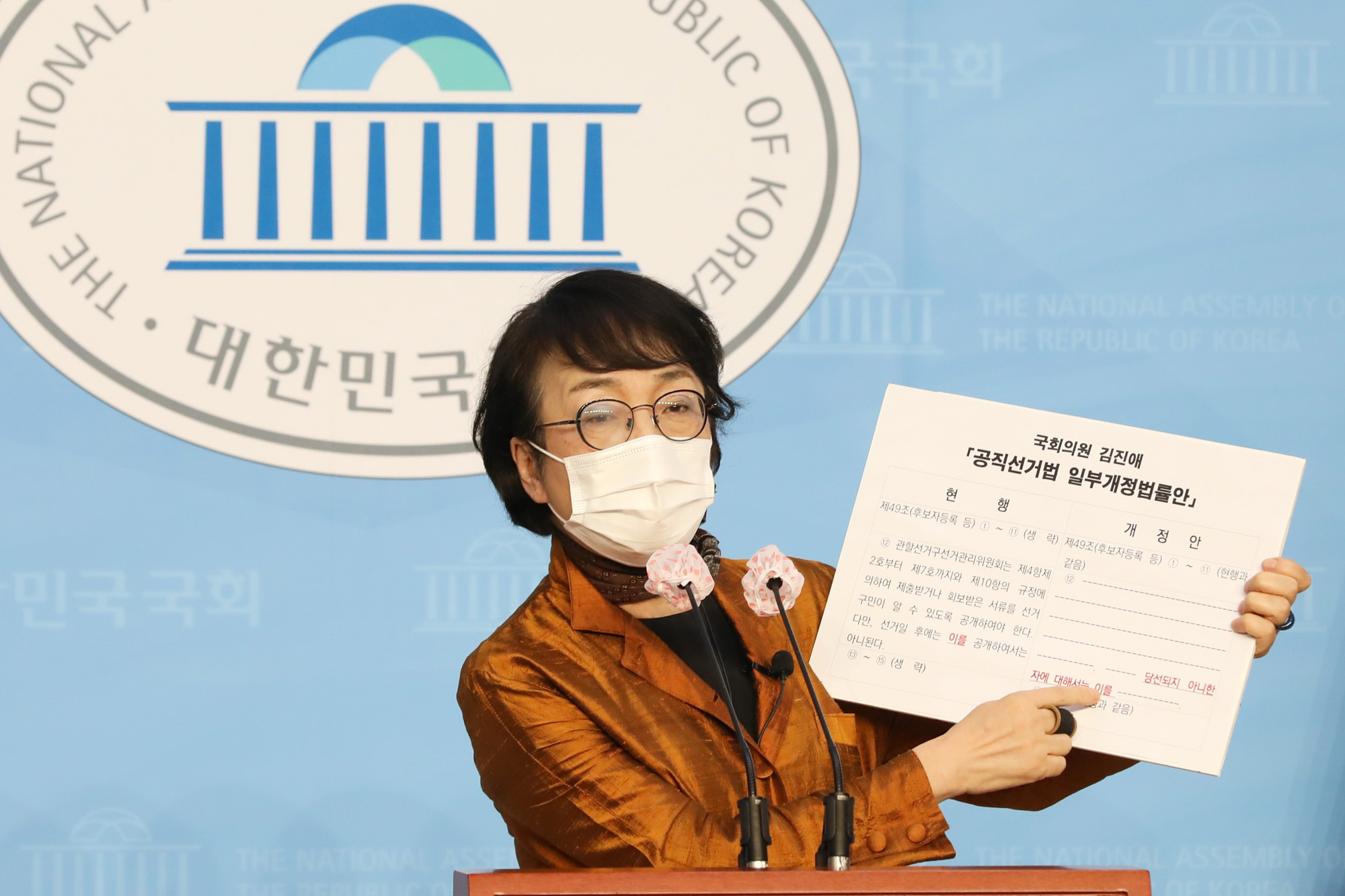 정치;국회;김진애;공직선거법재개정