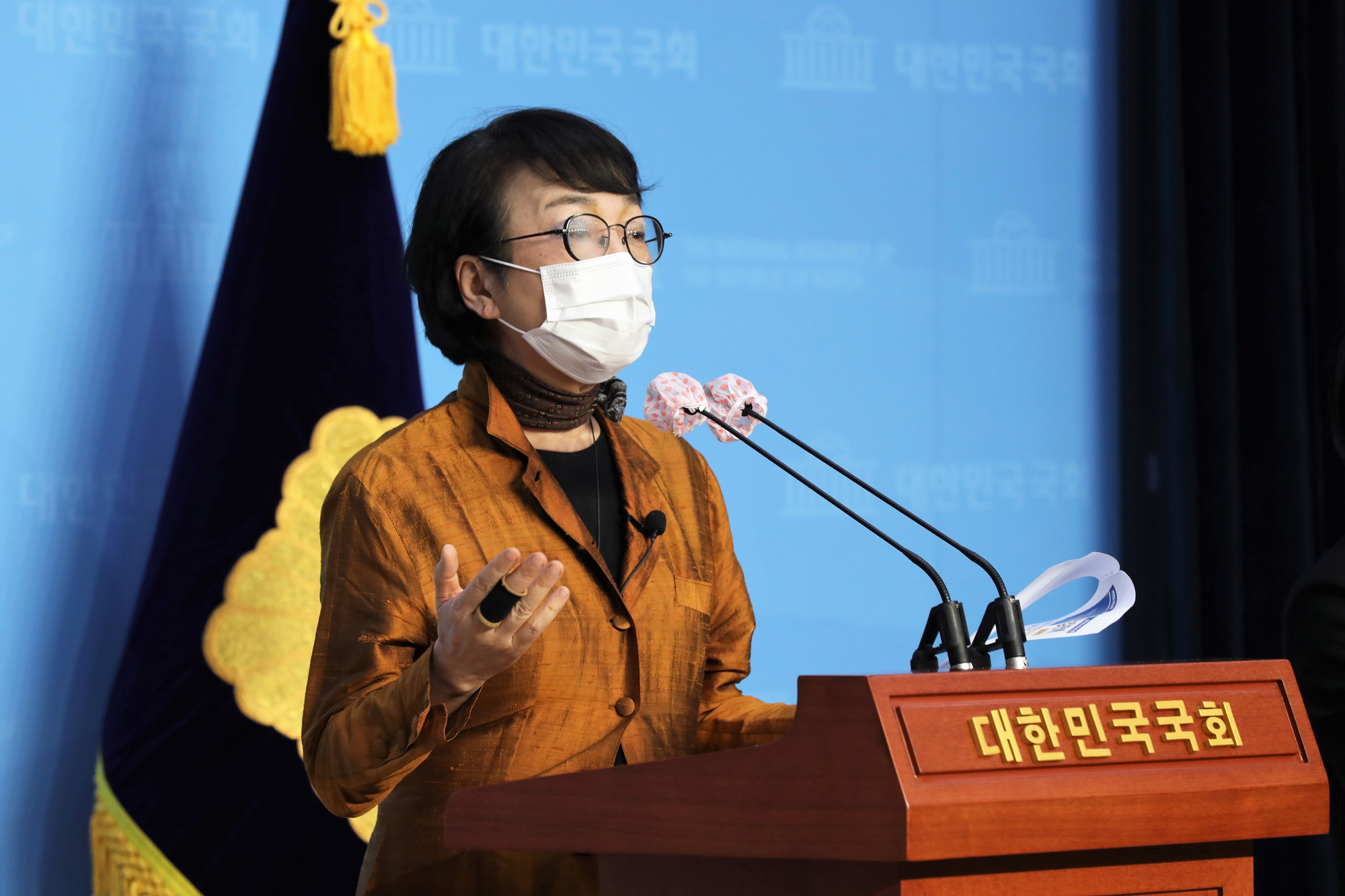 정치;국회;김진애;공직선거법재개정