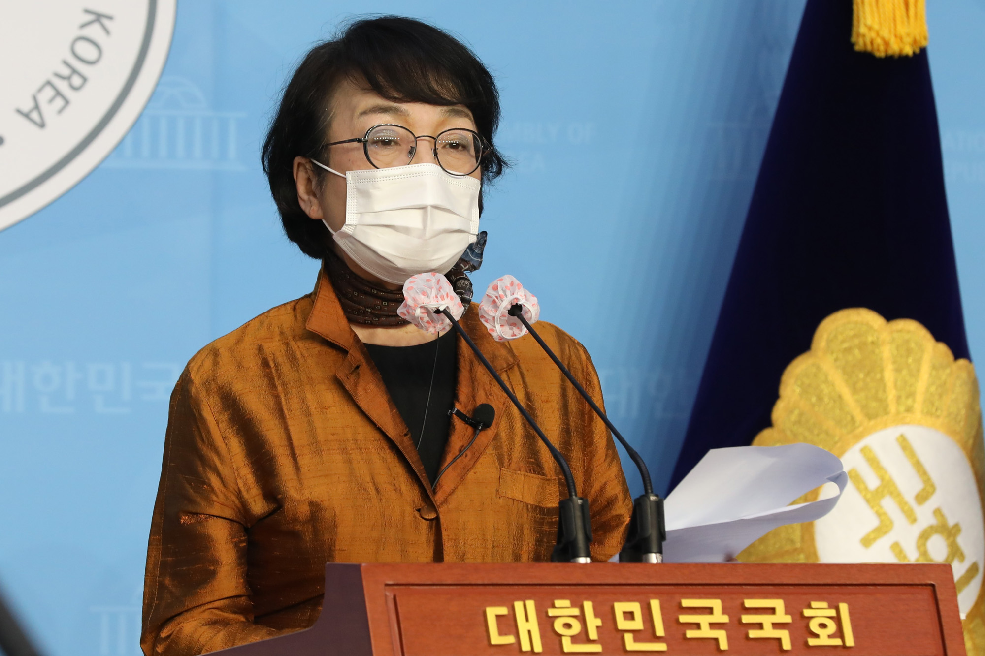 정치;국회;김진애;공직선거법재개정