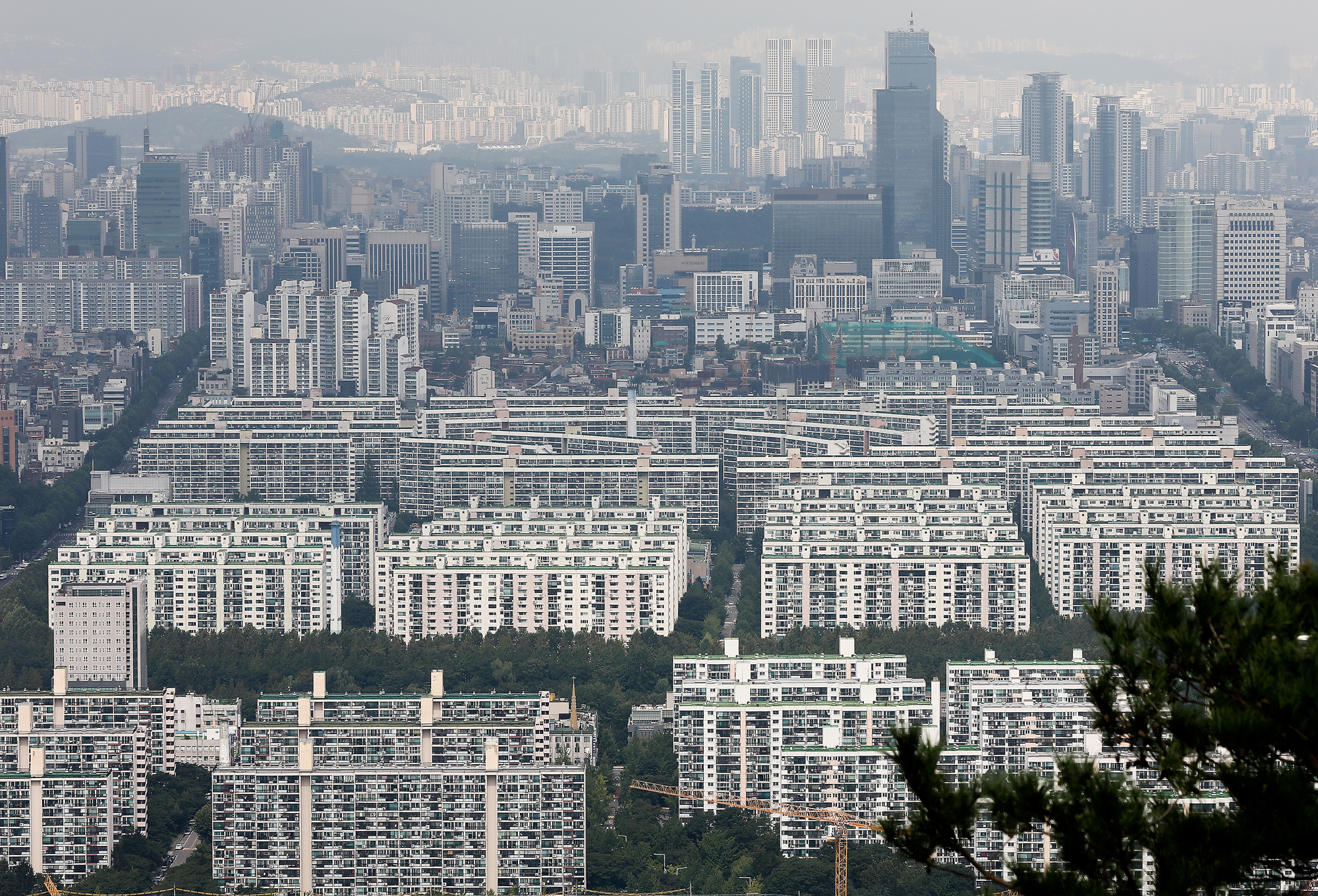 아파트;부동산;강남아파트;은마아파트;재건축;은마;대치동아파트