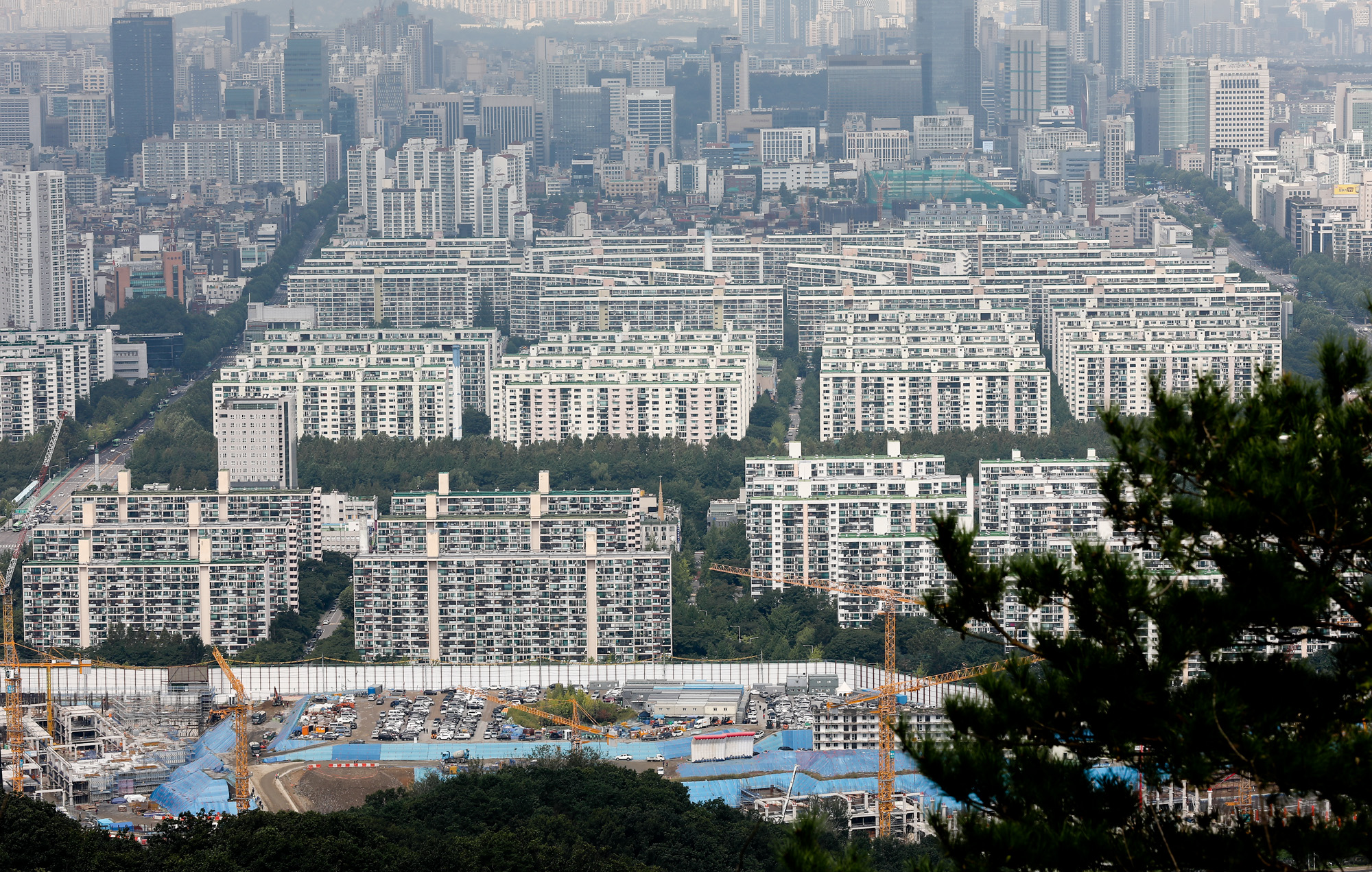 부동산;아파트;은마아파트;강남아파트;재건축;대치아파트;도곡아파트