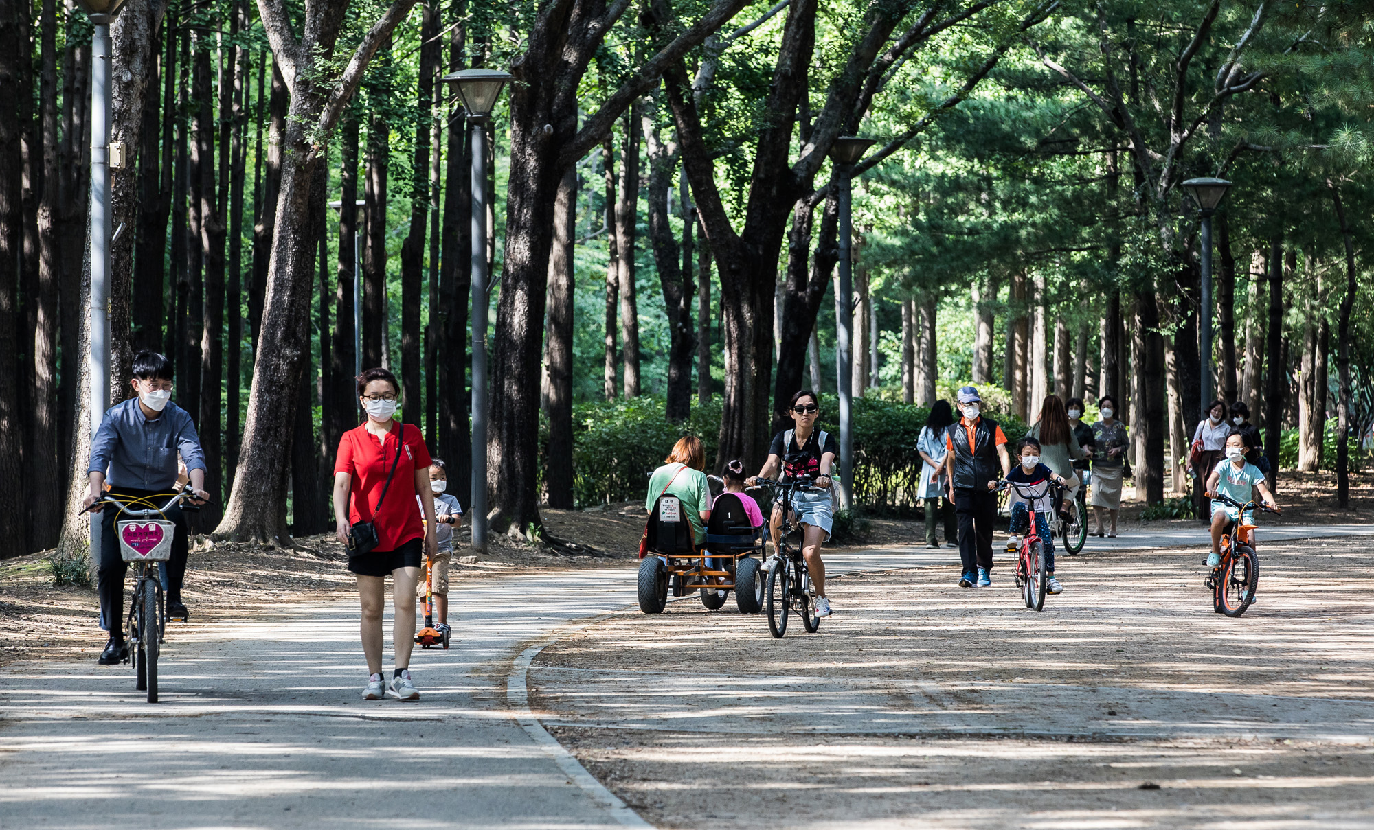 교통;자전거;사통팔달서울;자전거도로;서울숲