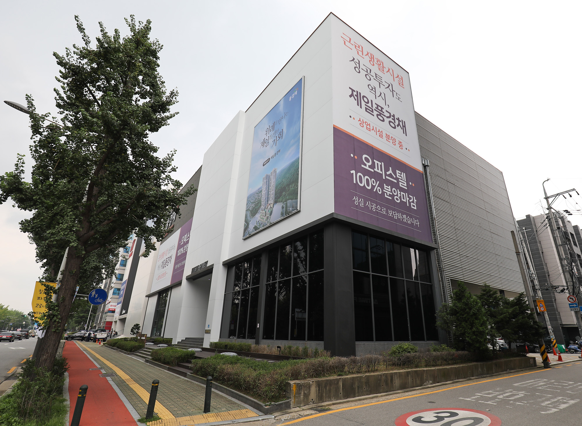 국회의원부동산;국회의원건물;부동산;송파구일대부동산