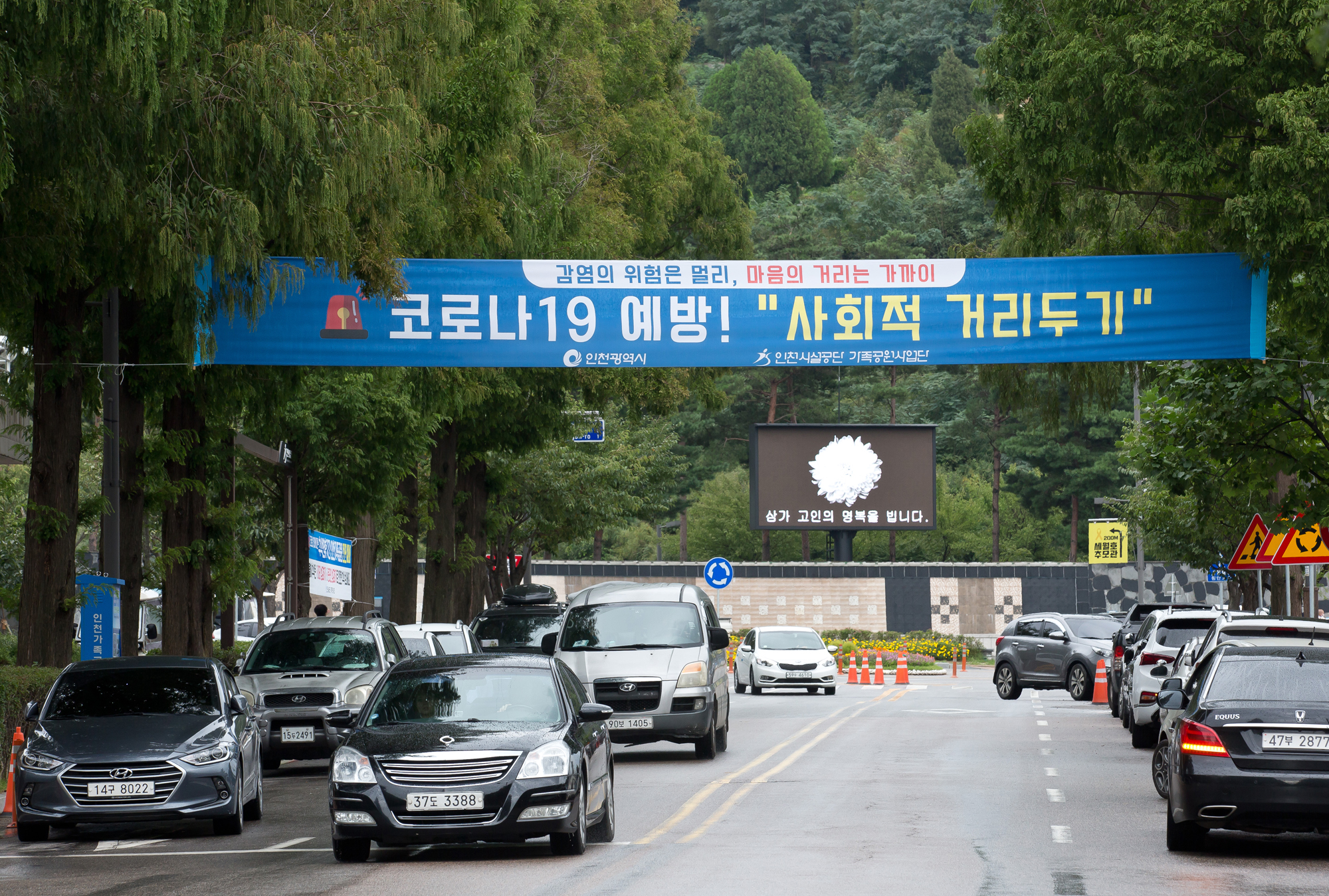 사회 추석 성묘 온라인 인천가족공원