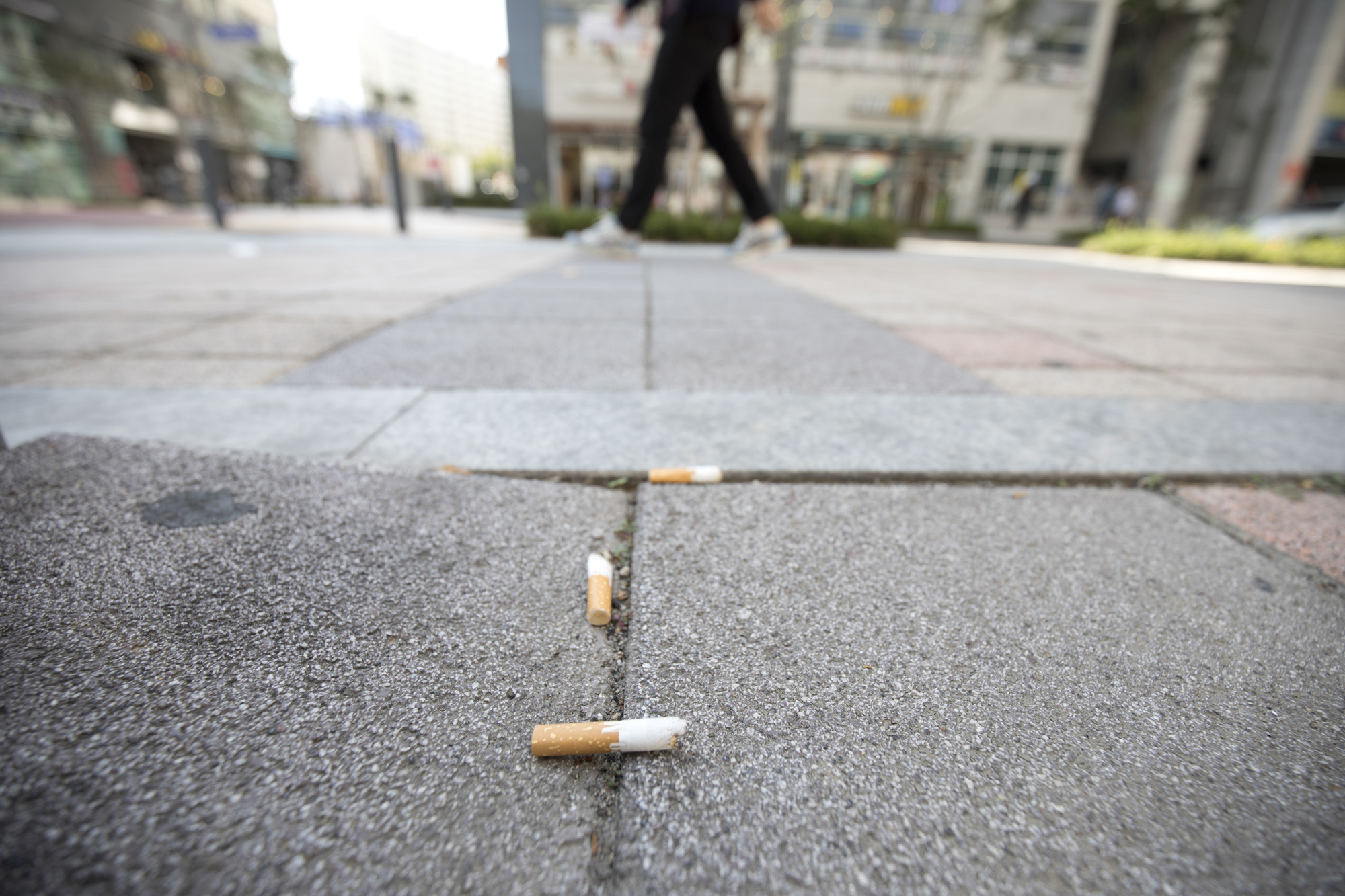 사회;세태;담배;담배꽁초;흡연;흡연자