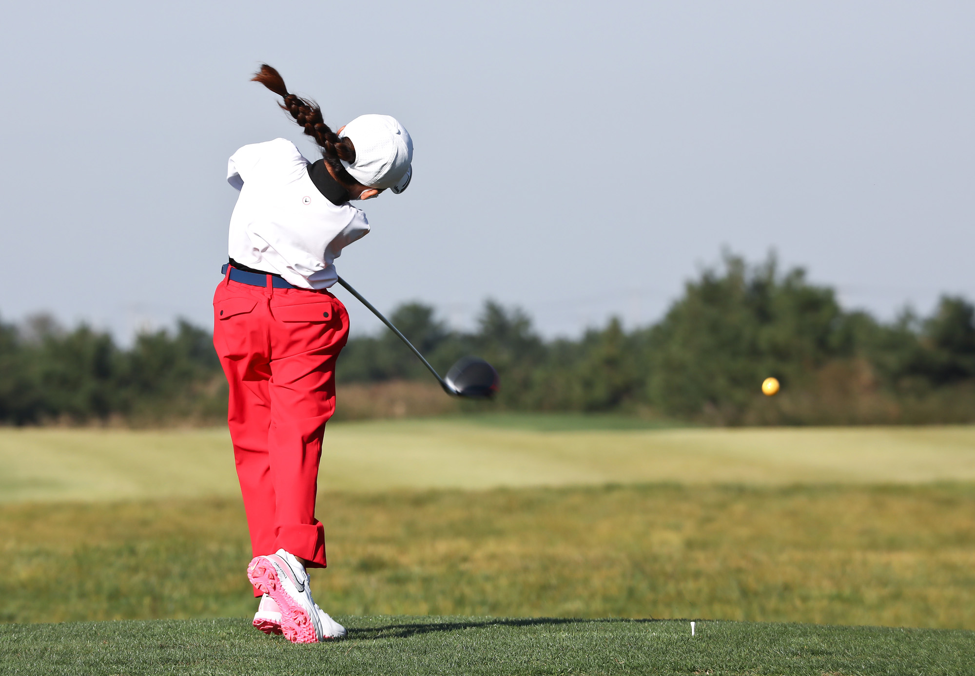 사회 체육 골프 일요신문 한국초등학교 골프연