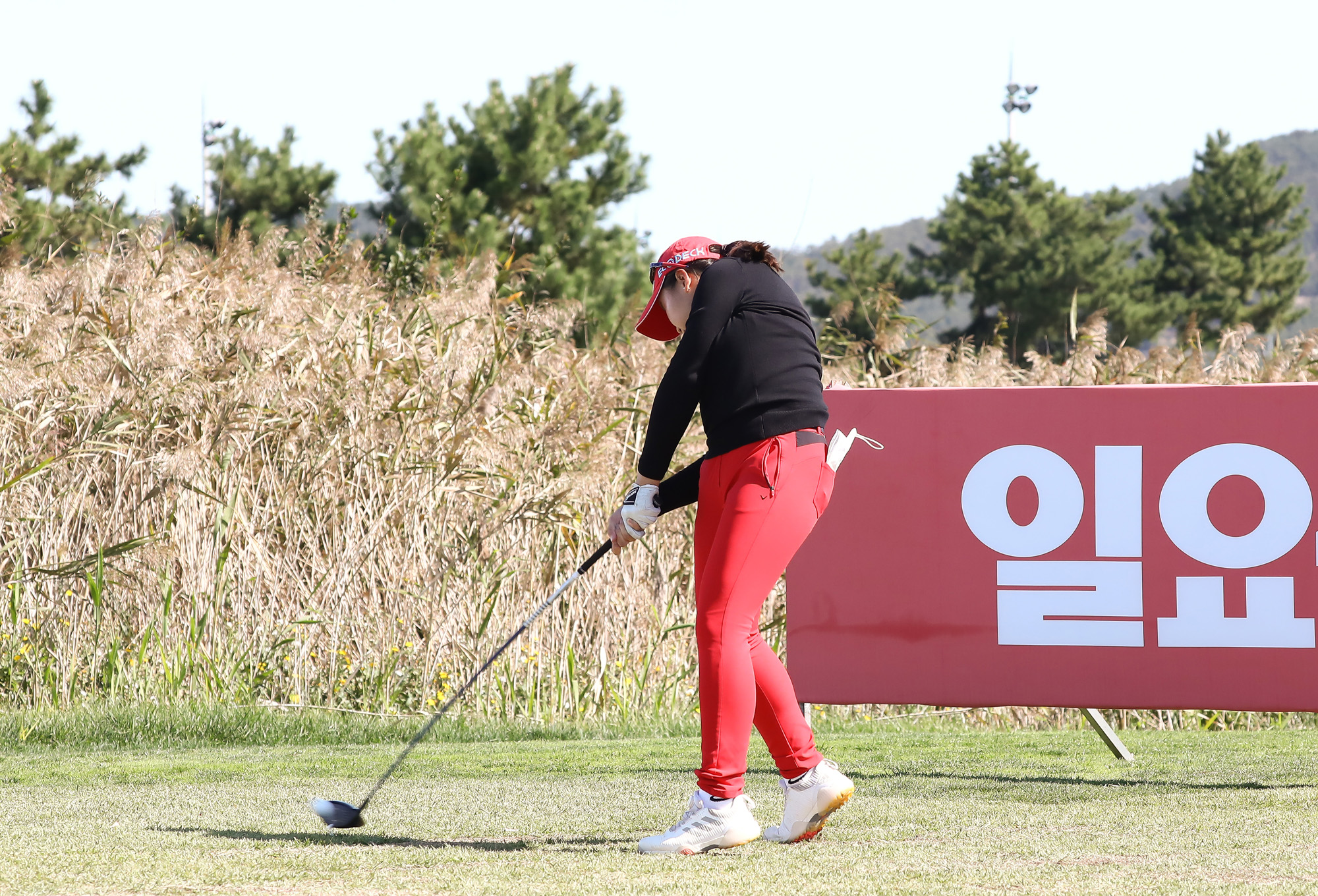 스포츠 골프 일요신문 한국초등학교 골프연맹 