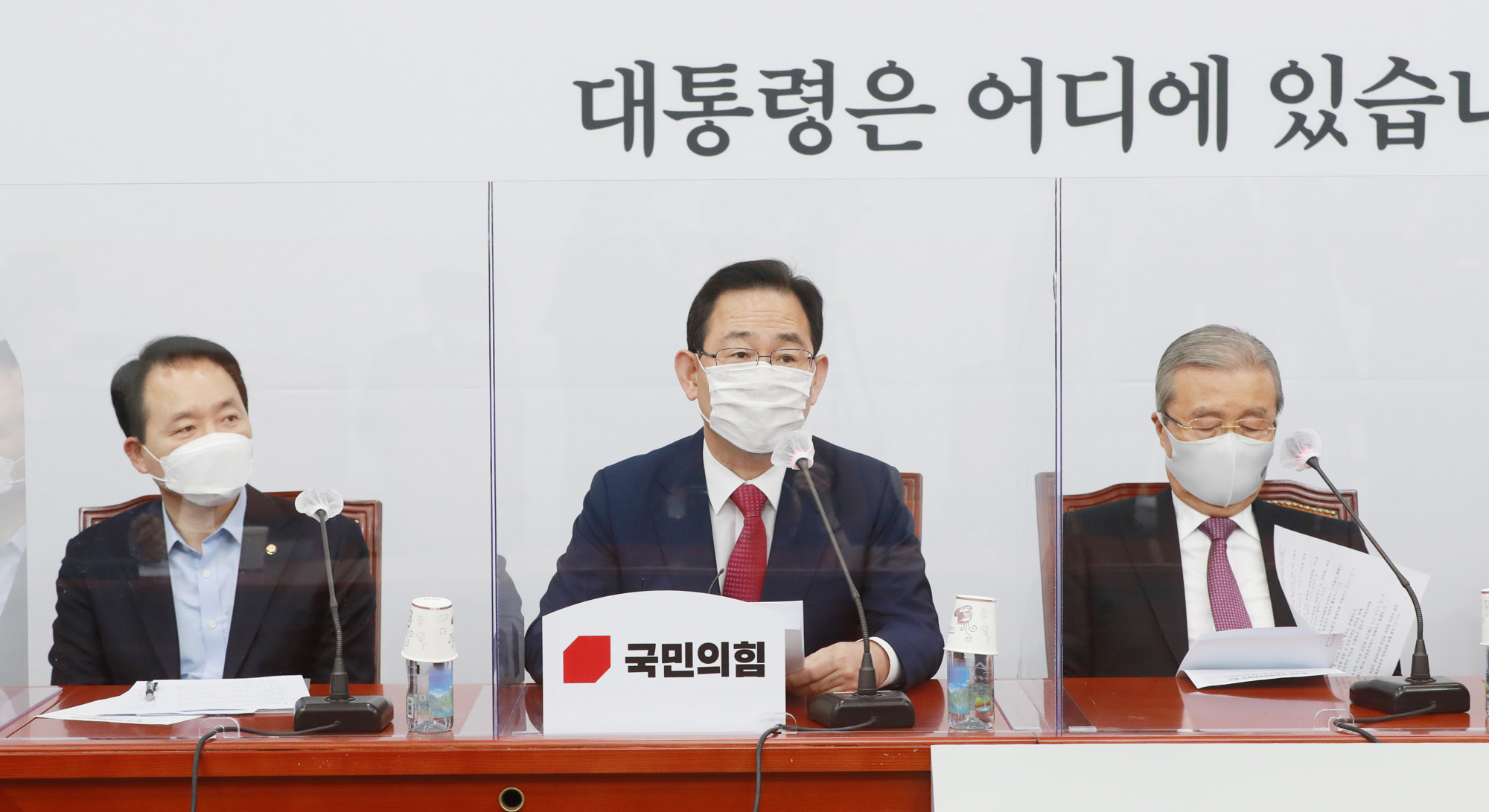정치;정당;국민의힘;비상대책위원회의