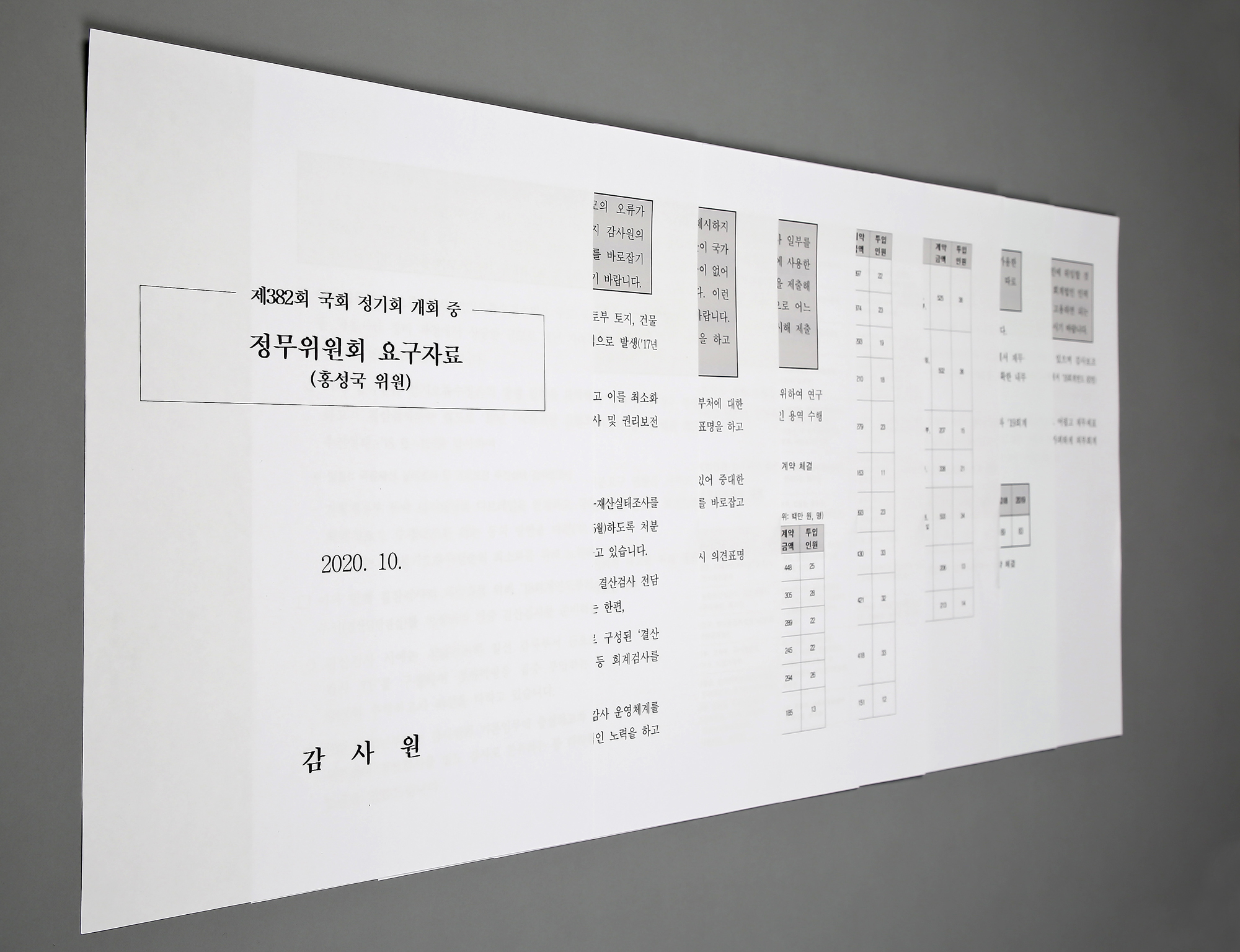 정치 국회 정무위원회 감사원 홍성국