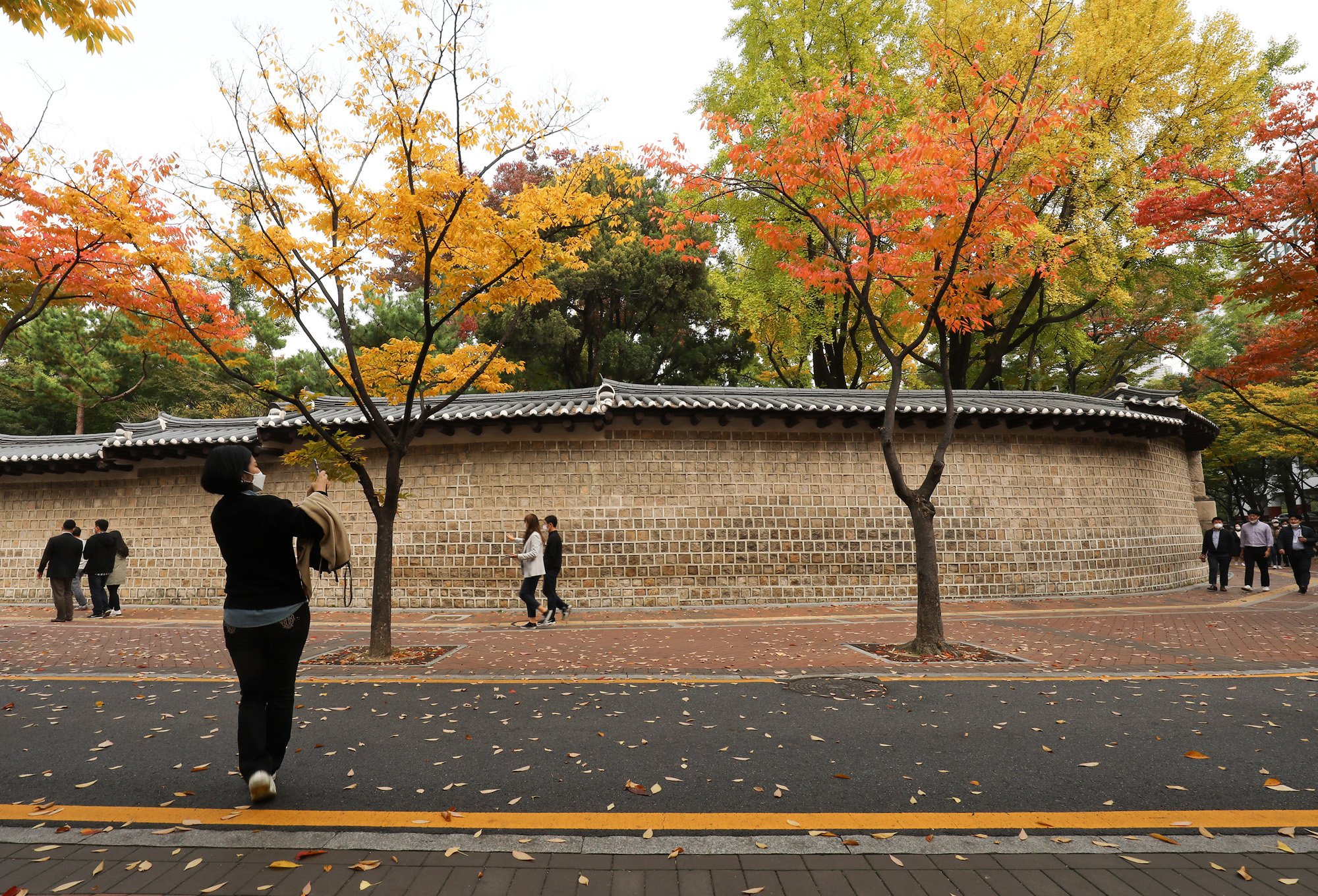 덕수궁길;단풍;덕수궁단풍;가을