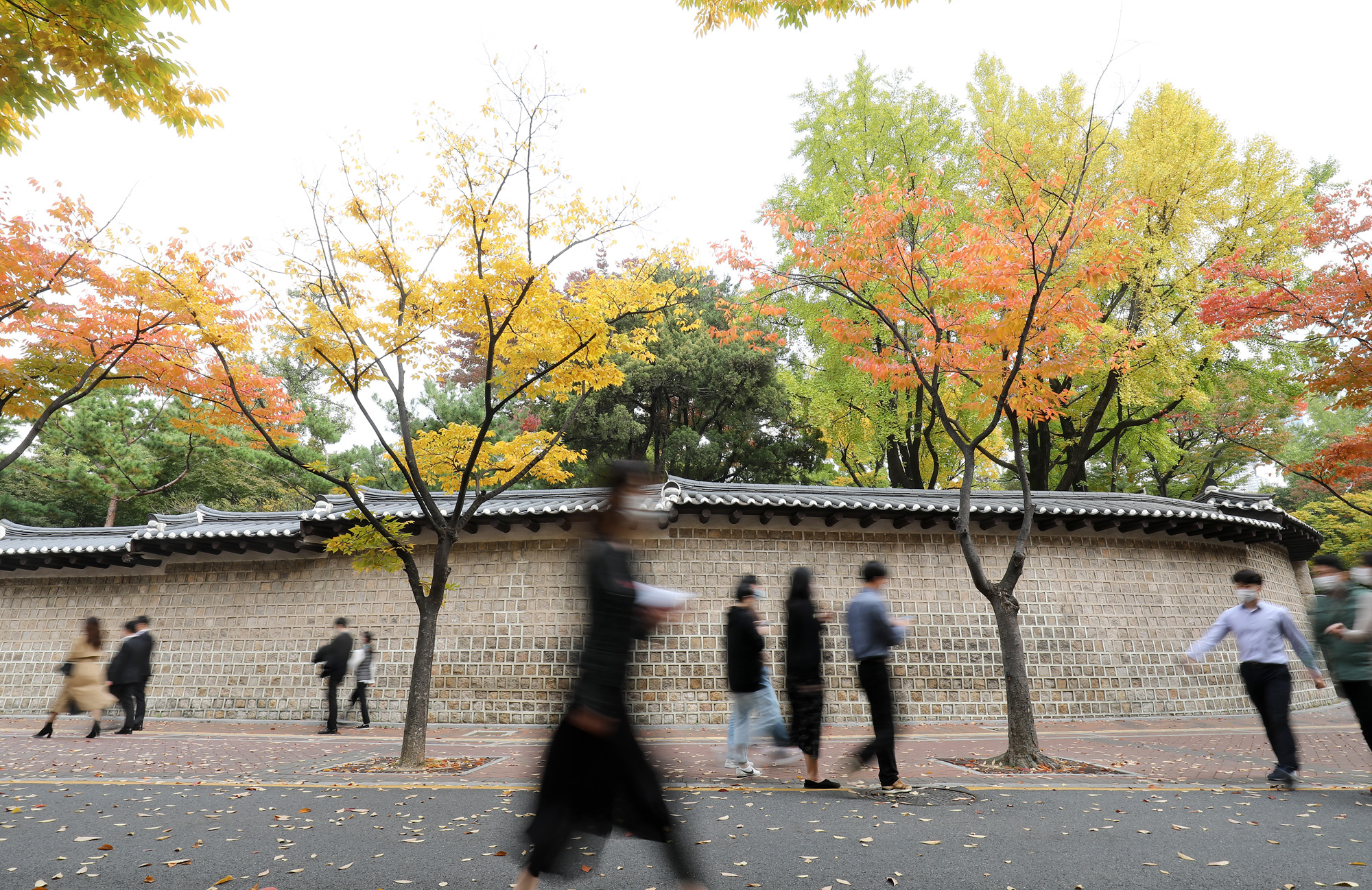 덕수궁길;단풍;덕수궁단풍;가을